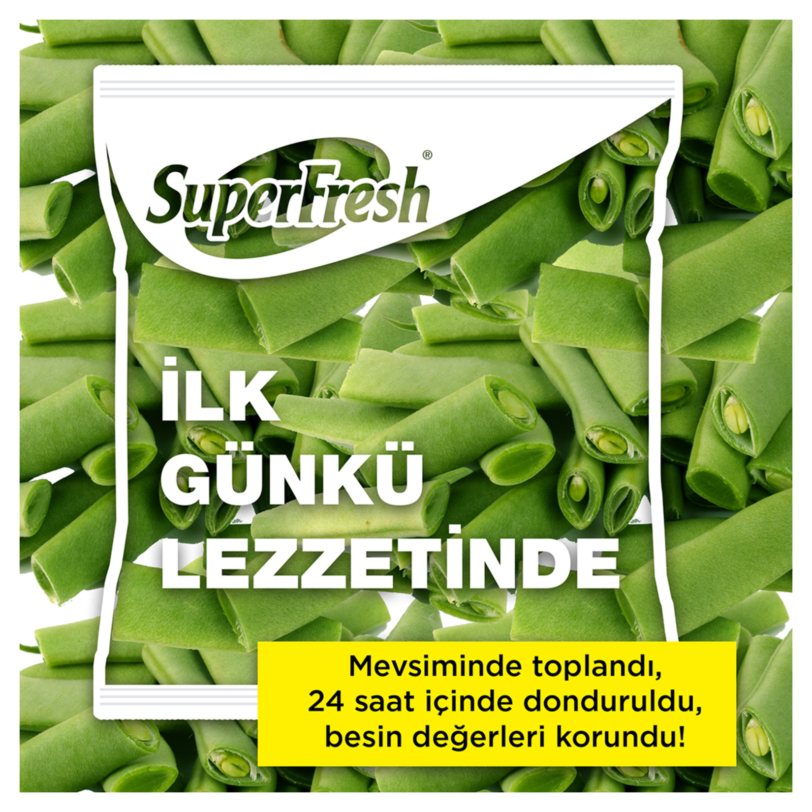 Superfresh Taze Fasulye 450 G - Görsel 2