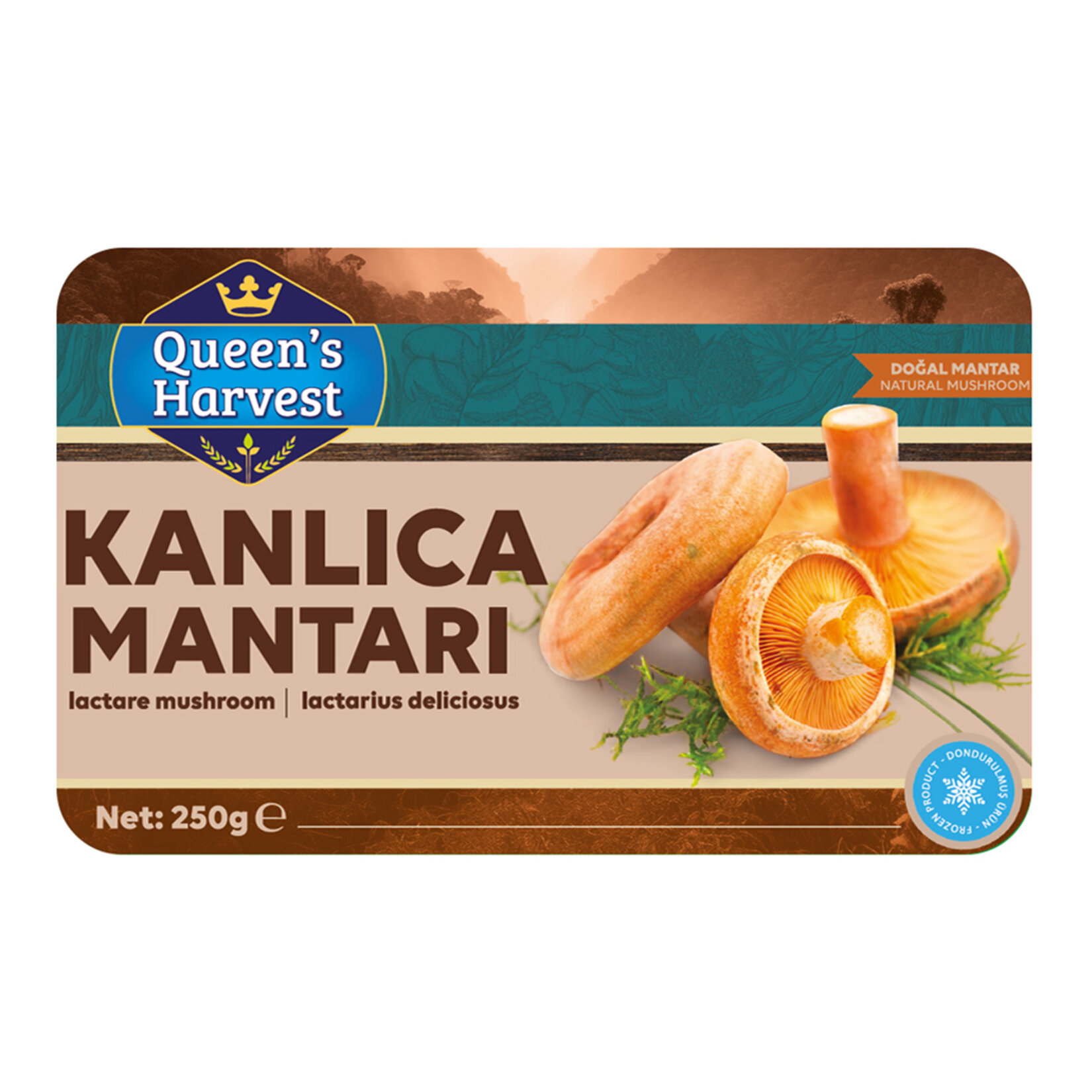 Queen's Harvest Kanlıca Mantarı 250 G