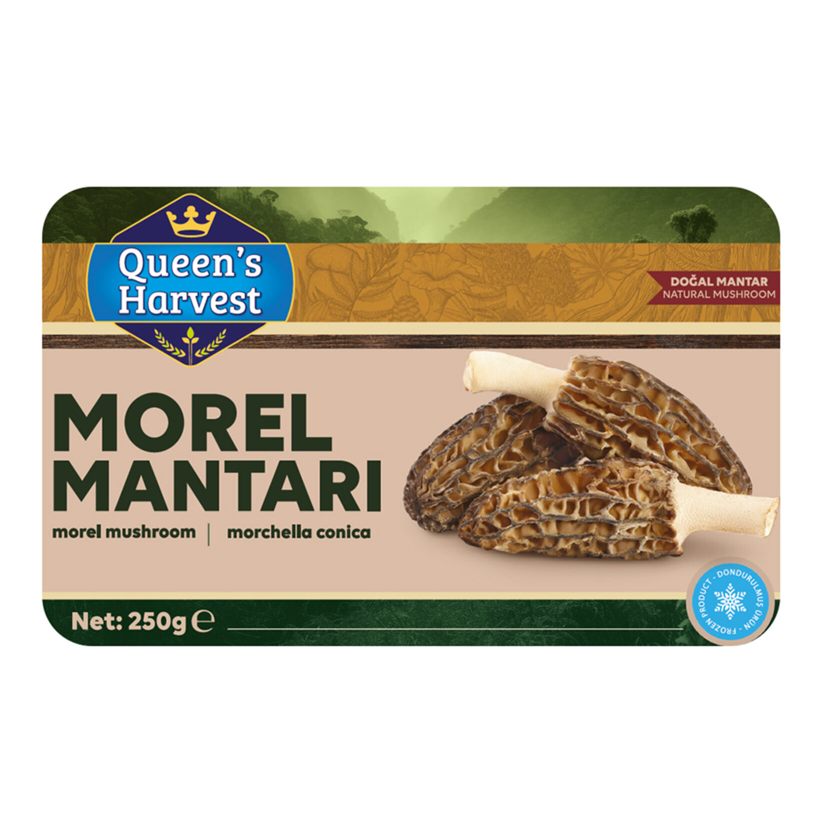 Queen's Harvest Morel Mantar 250 G