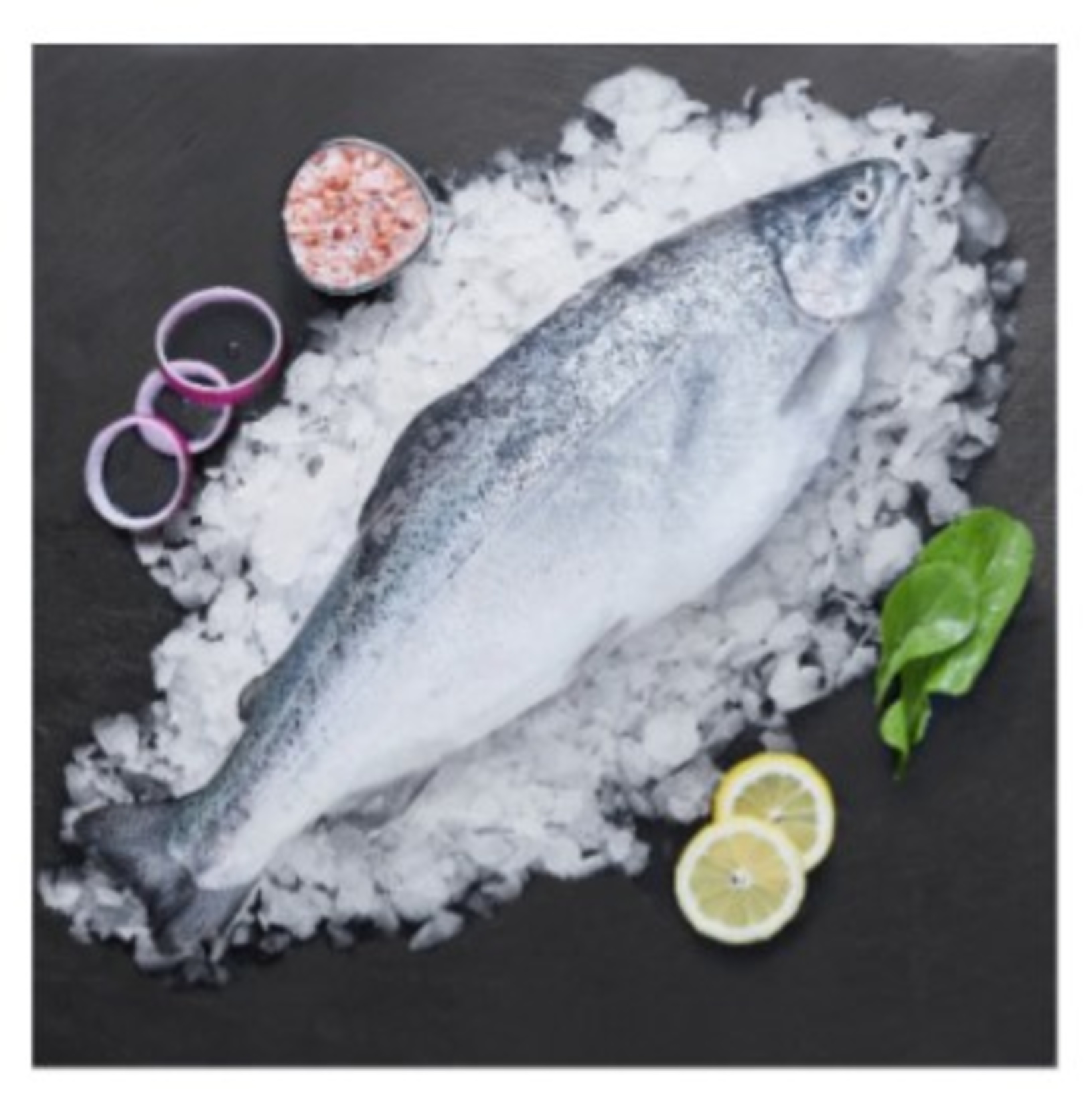 Türk Somonu Bütün Kg