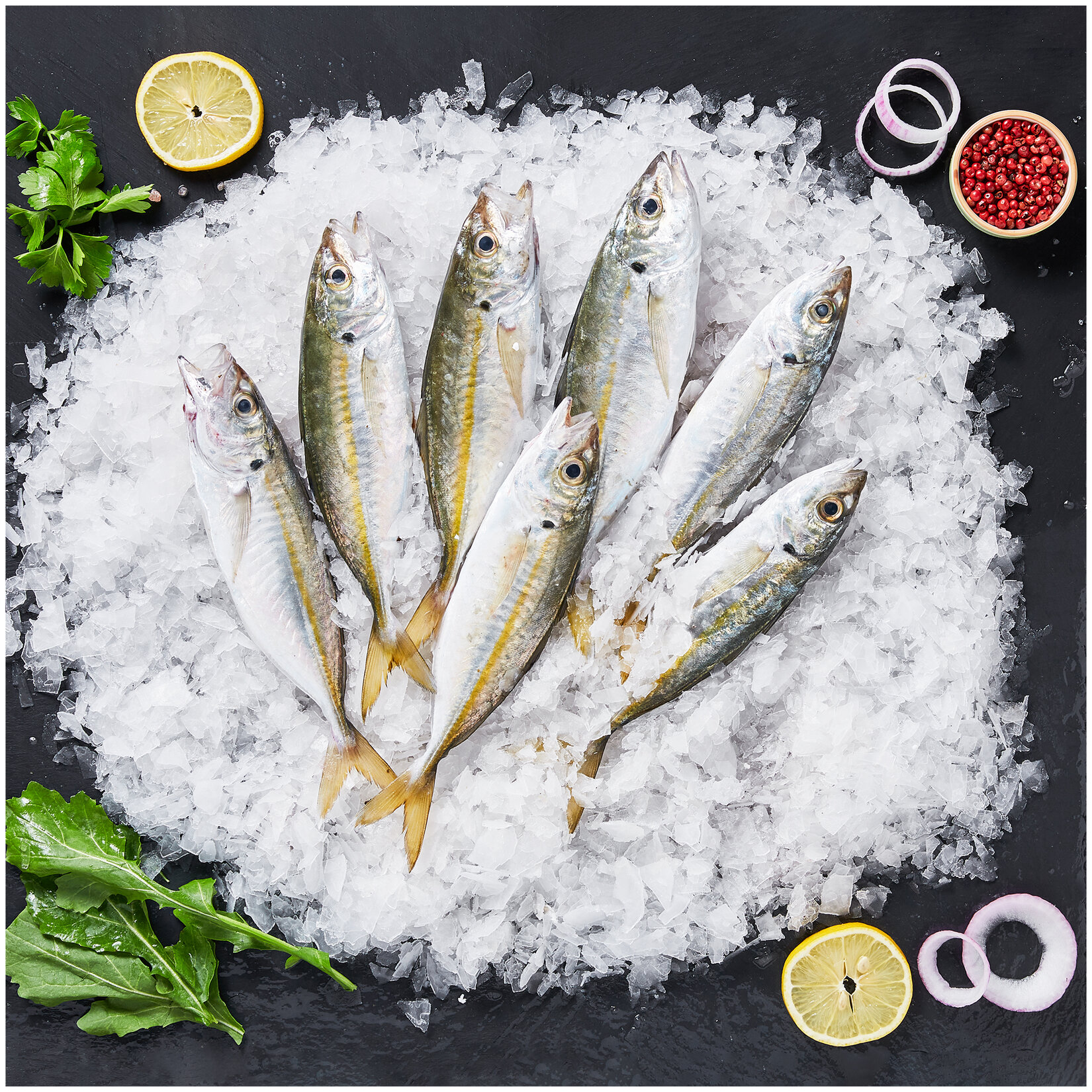 İstavrit Sarıkanat Kg