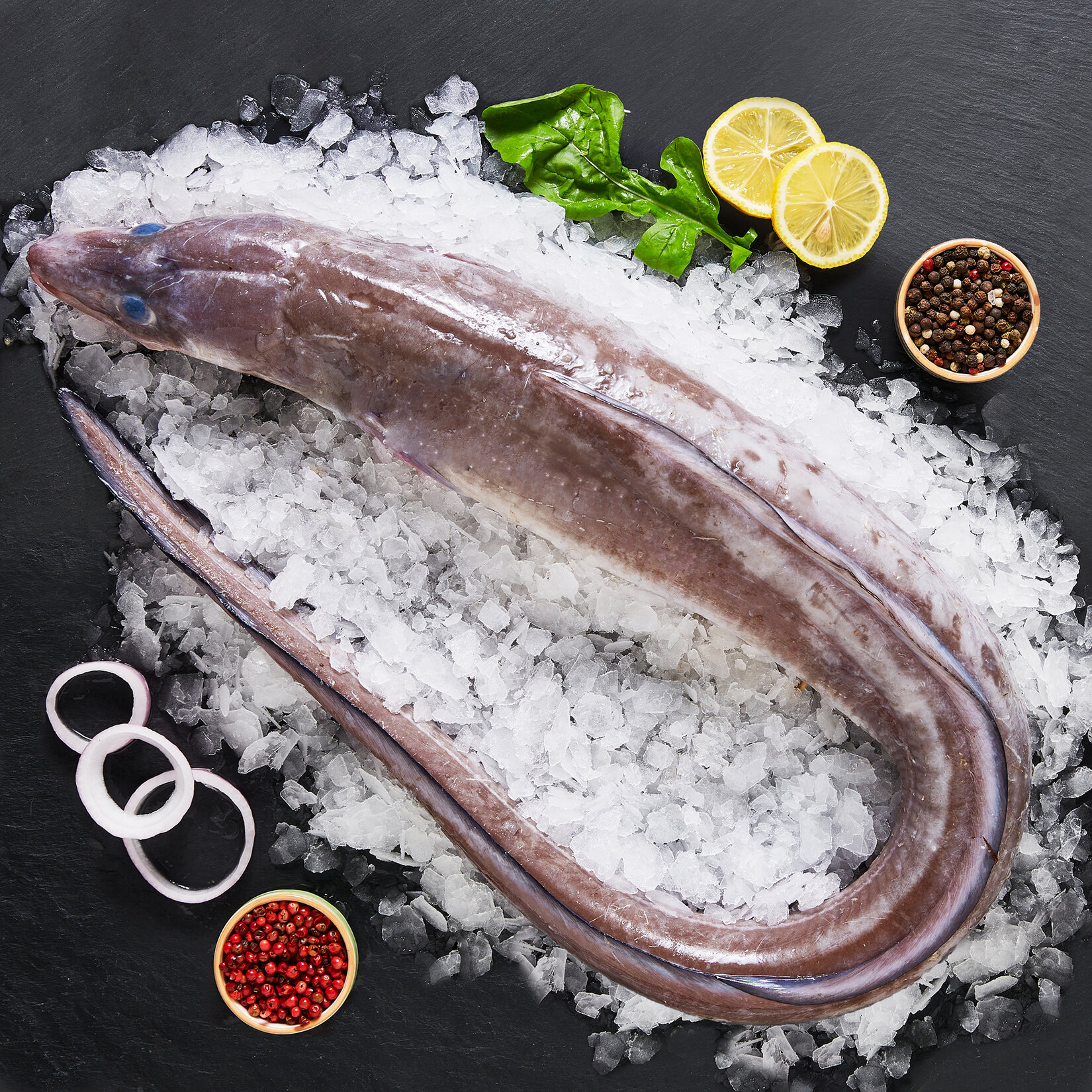 Mığrı Balıgı Kg 