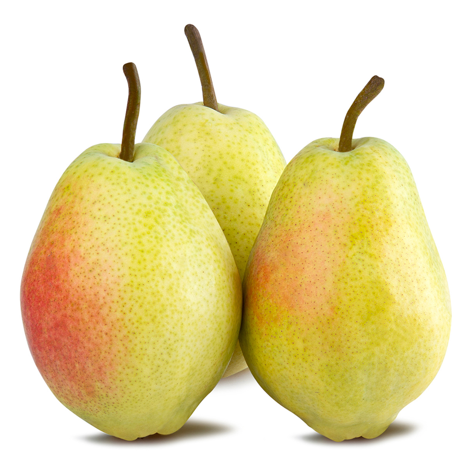 Armut Santa Maria Kg