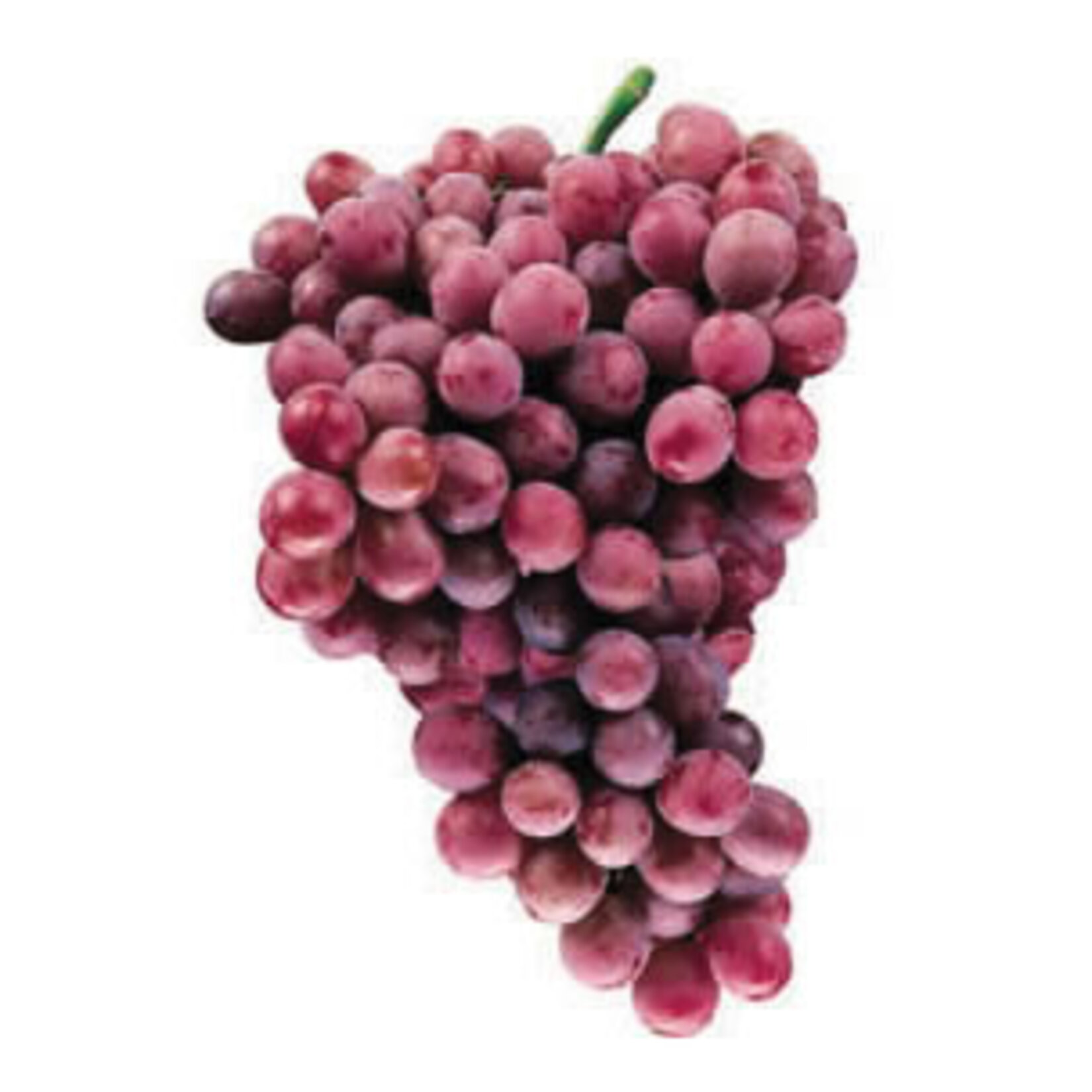 Üzüm Kardinal Kg