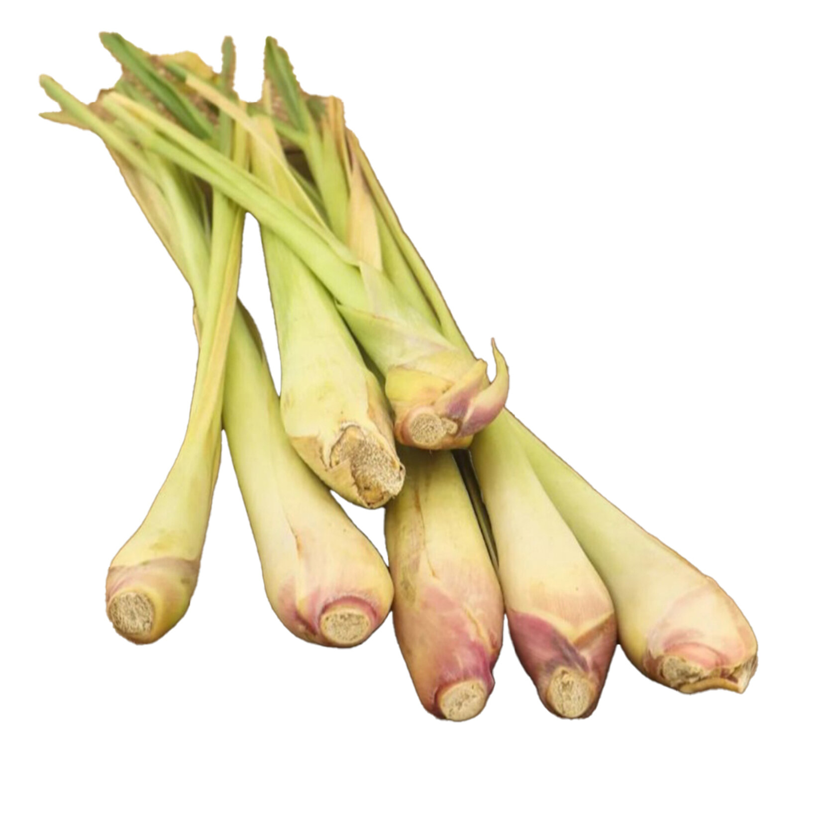 Yerli Limonotu (Lemongrass) 3'lü Demet