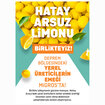 Hatay Arsuz Limonu Kg - Görsel 2