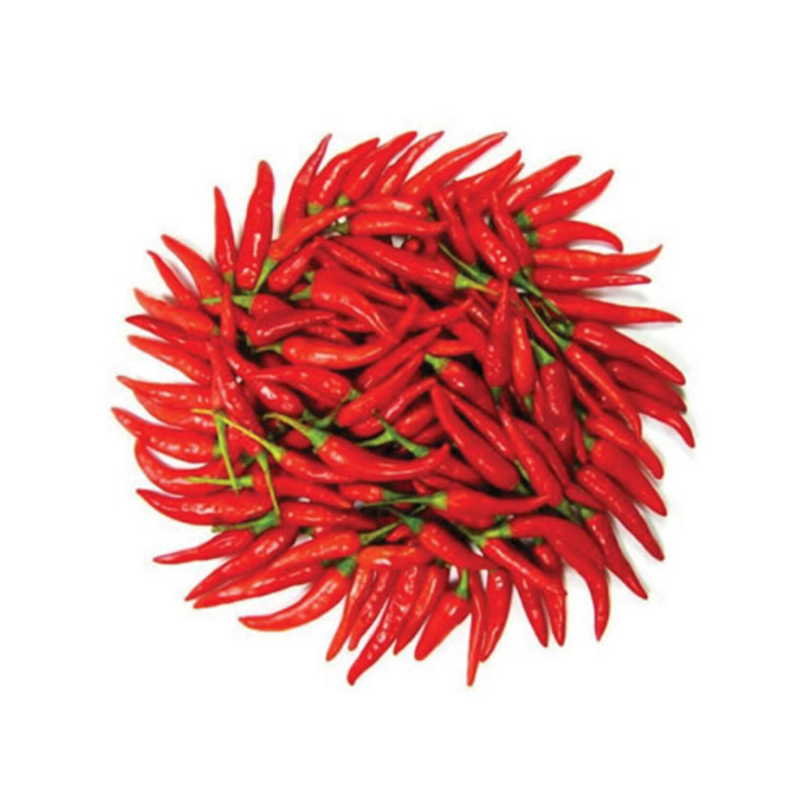 Acı Biber Şili Kırmızı Paket Kg