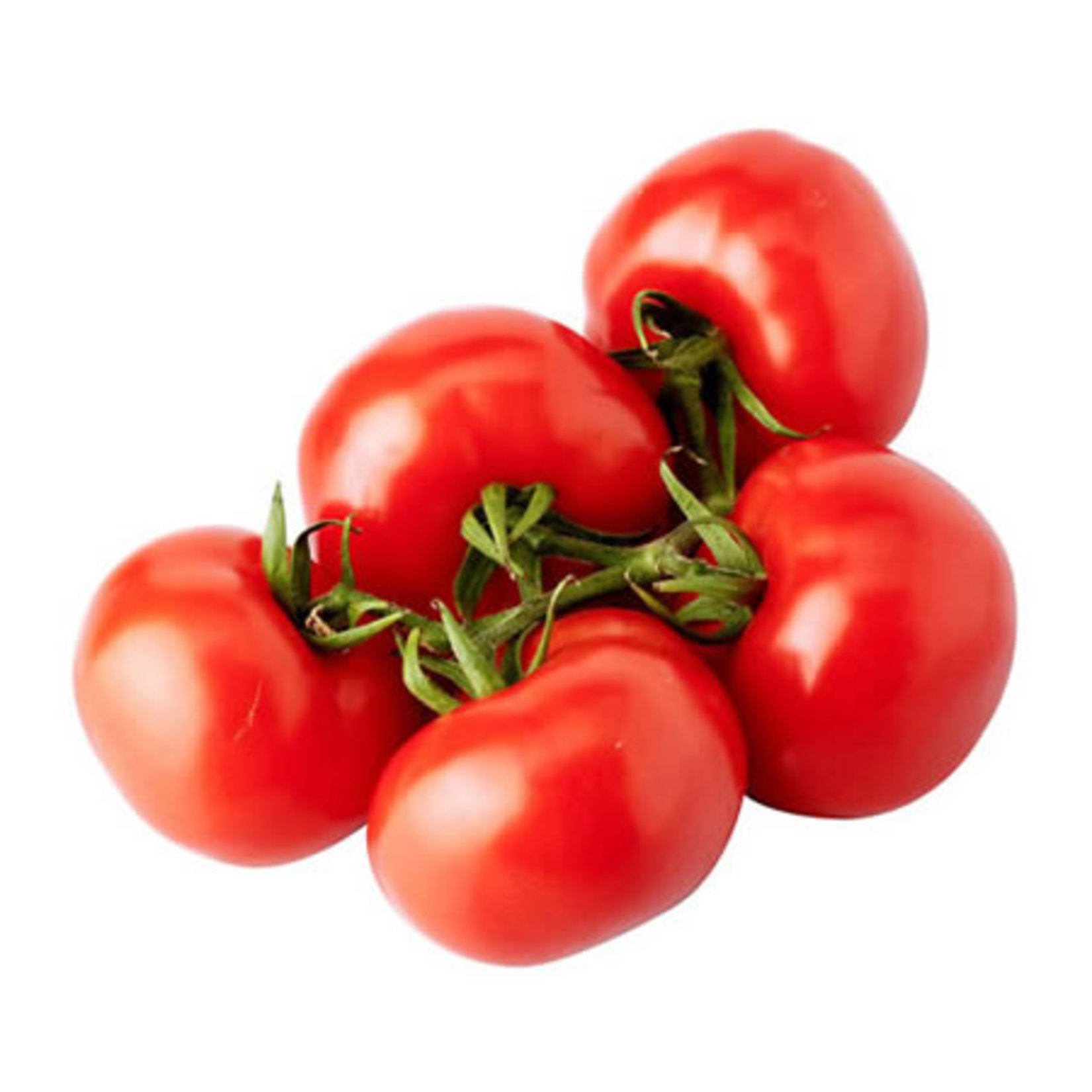 Domates Agrocan Salkım Paket