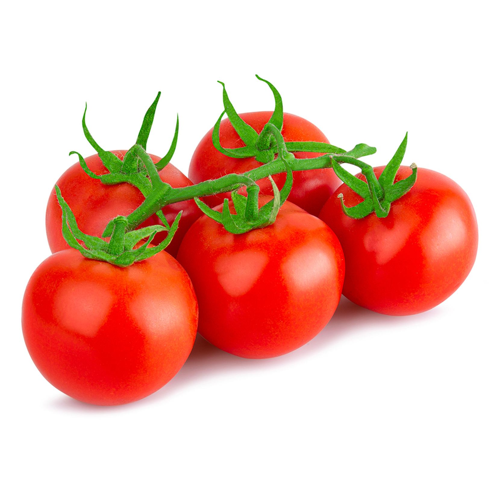 Domates Salkım Paket Kg