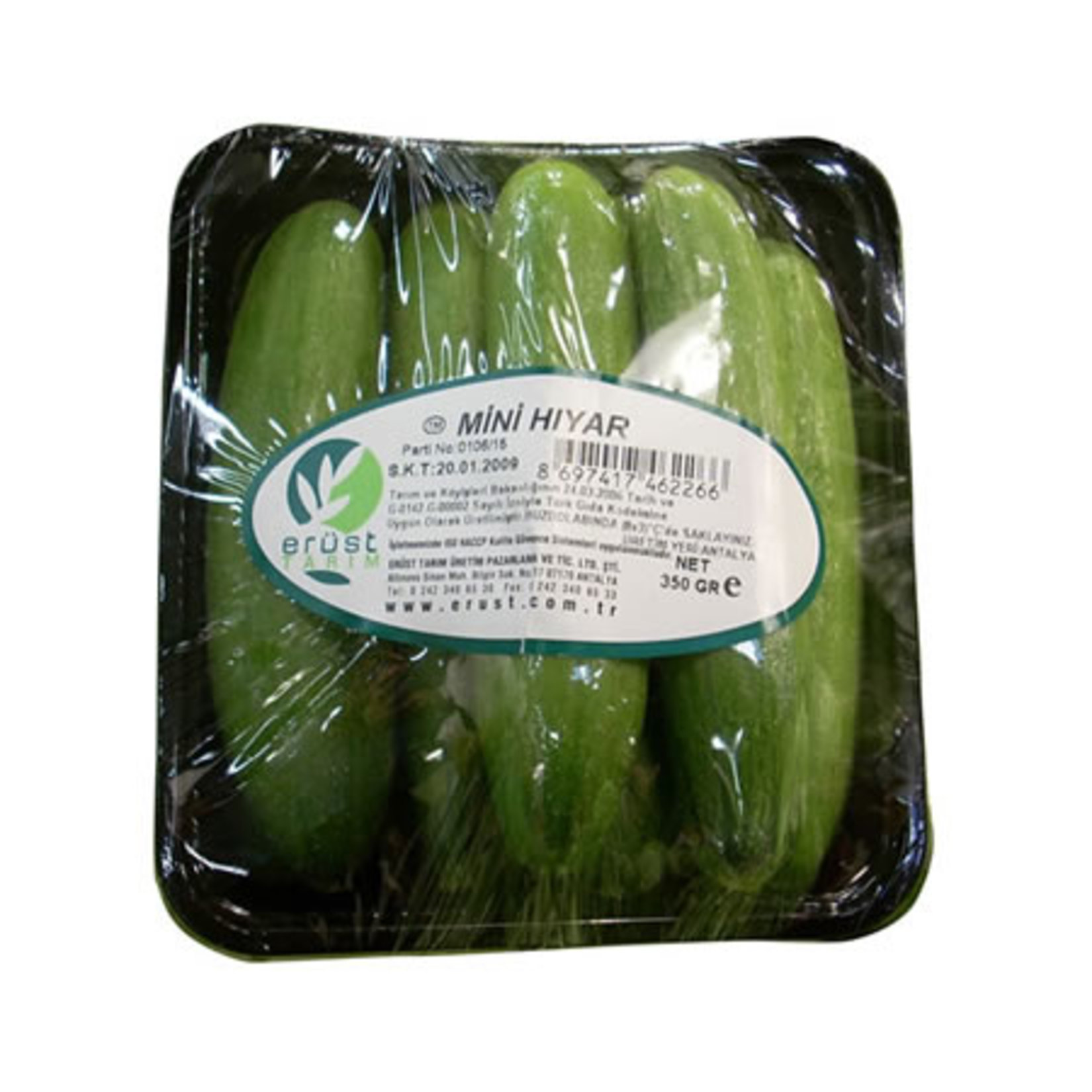 Hıyar Mini 300 G Erüst