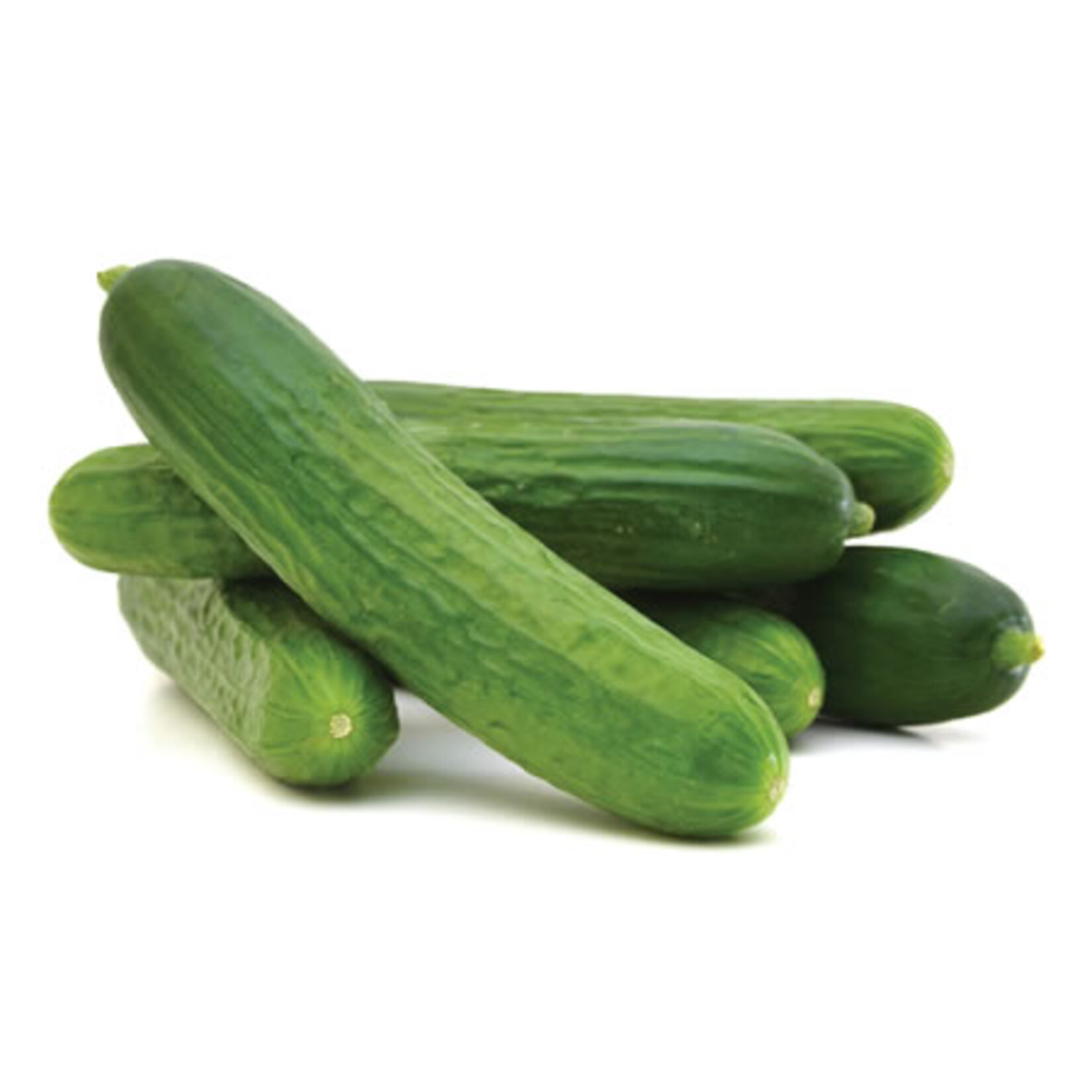 Hıyar&nbsp;Ekstra Kg