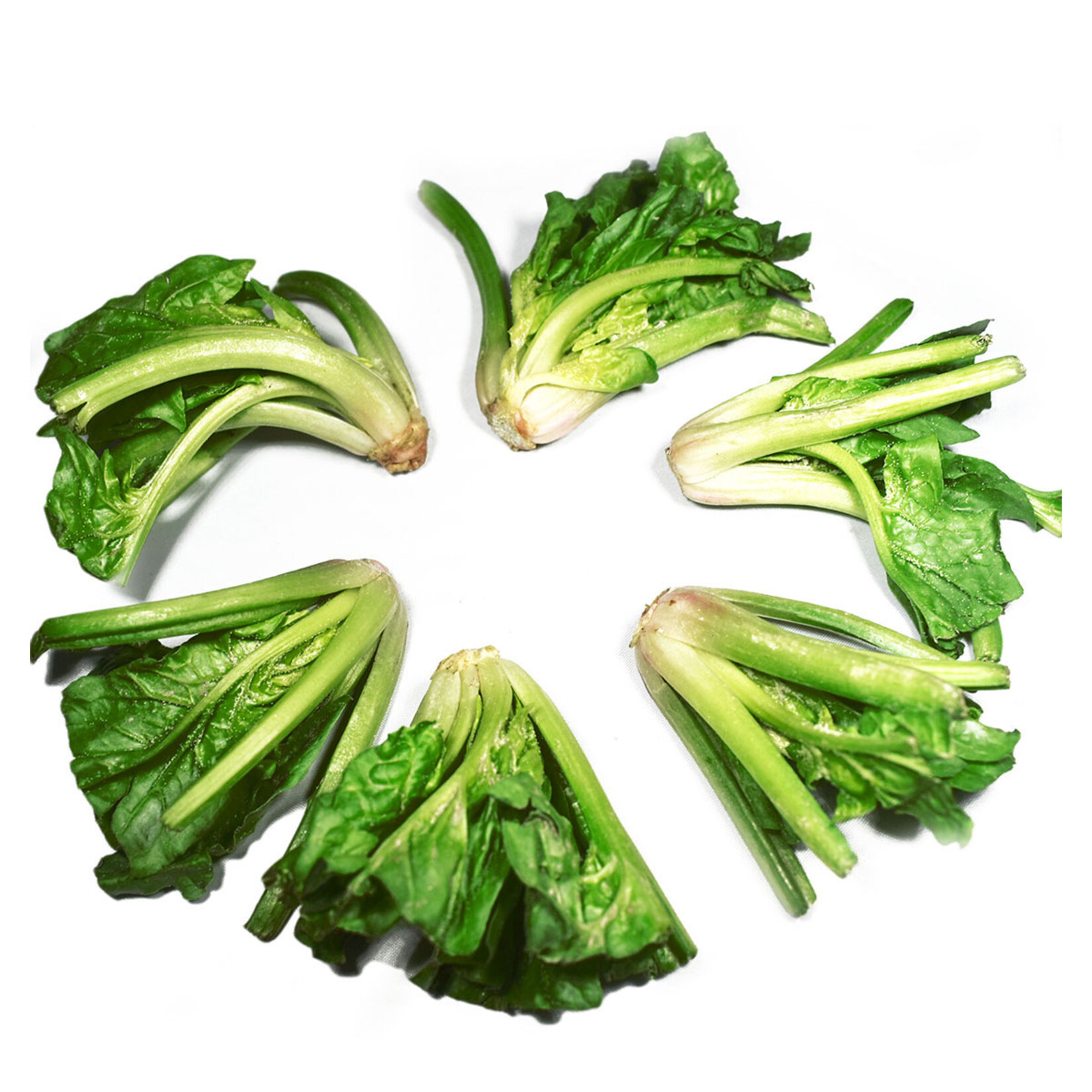 Kök Ispanak 500 Gr Erüst - Görsel 2