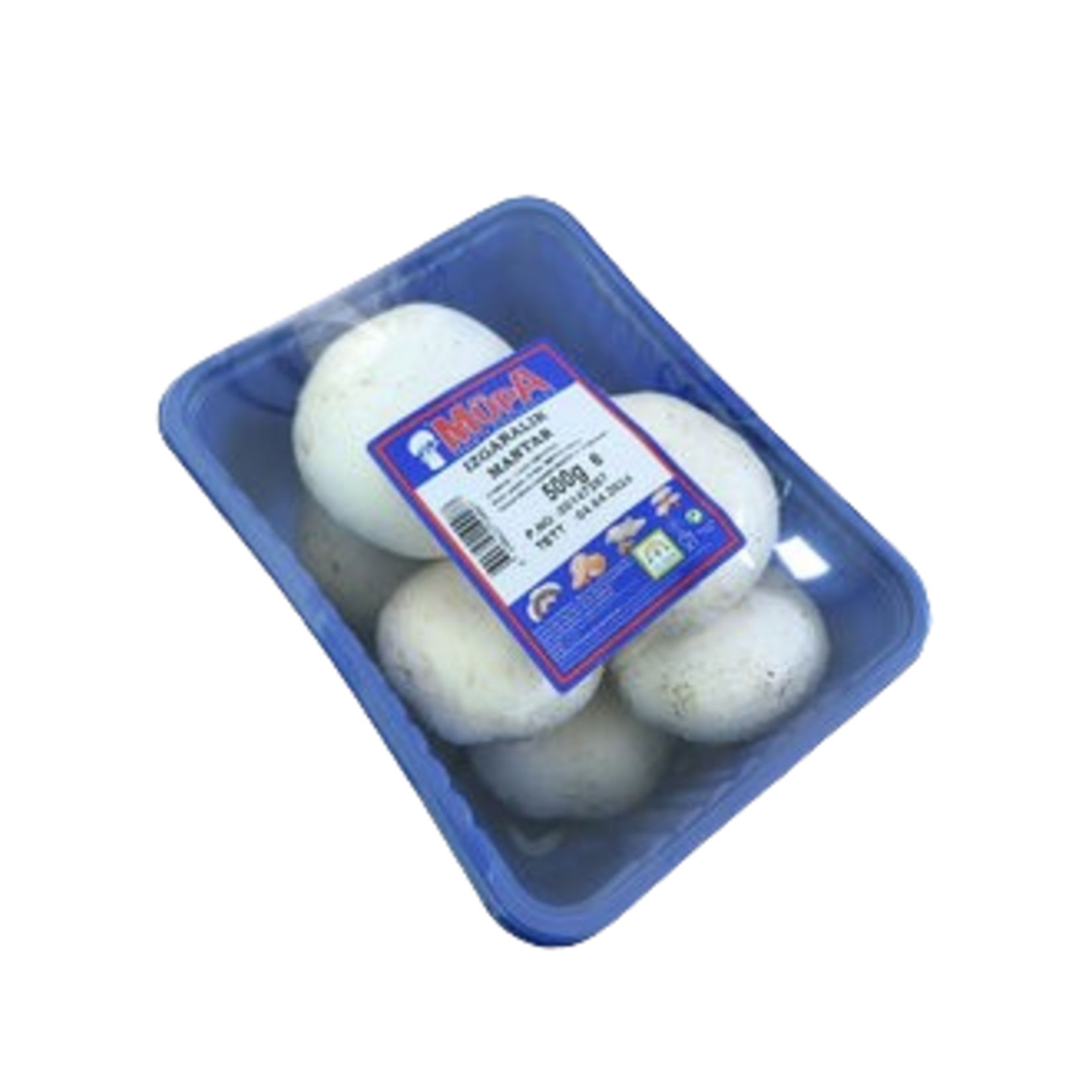 Mantar Izgaralık 500 G