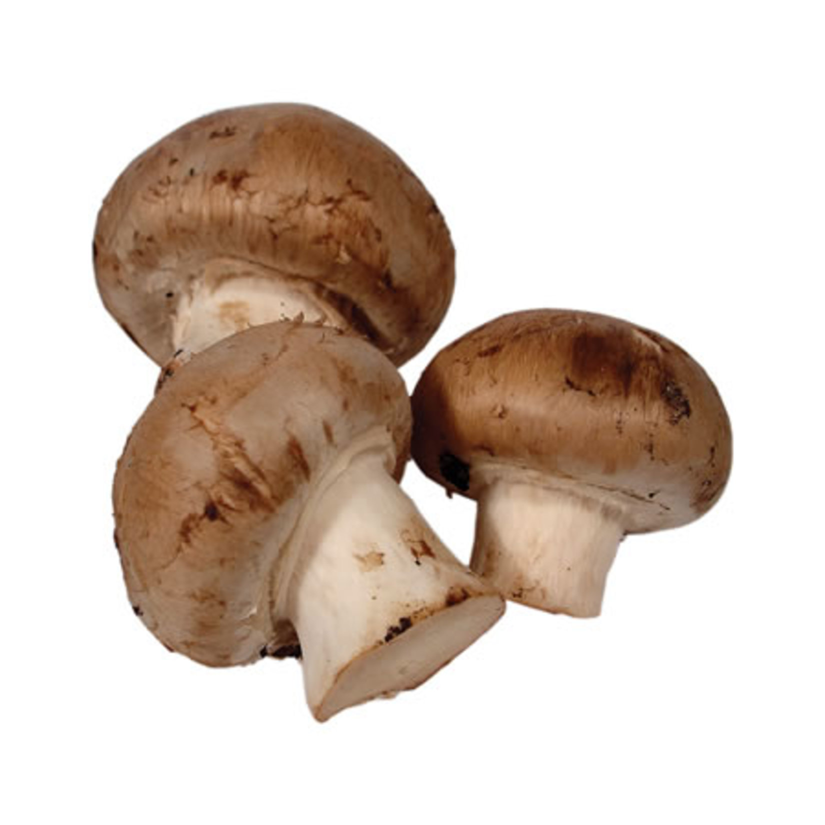 Migros Kestane Mantar 350G