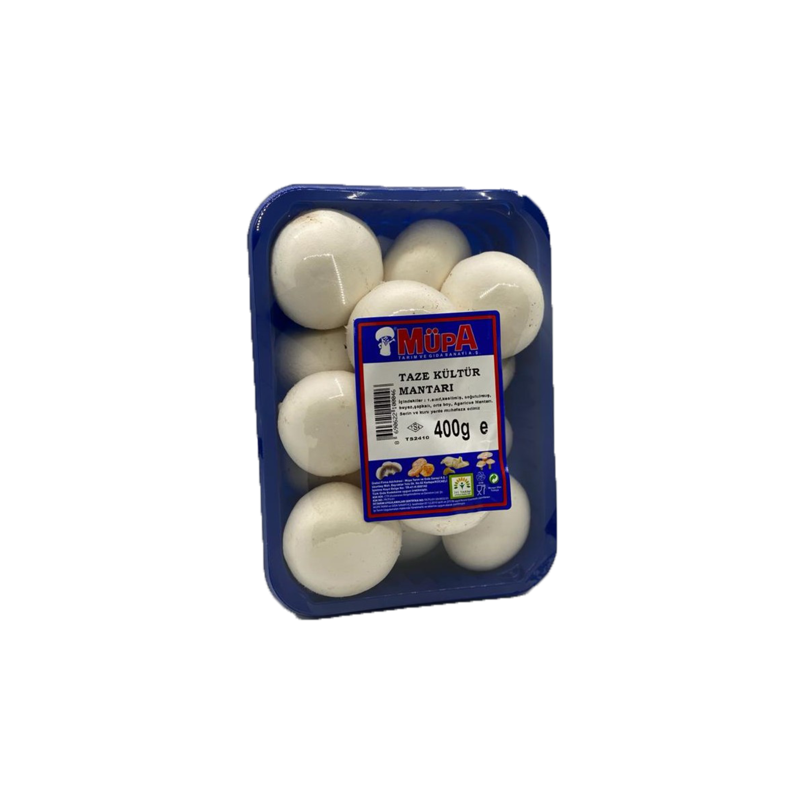 Kültür Mantarı Mcf 400 G Paket