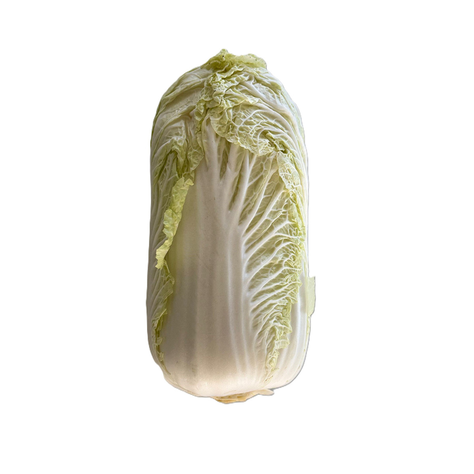 Gevrek Marul Adet