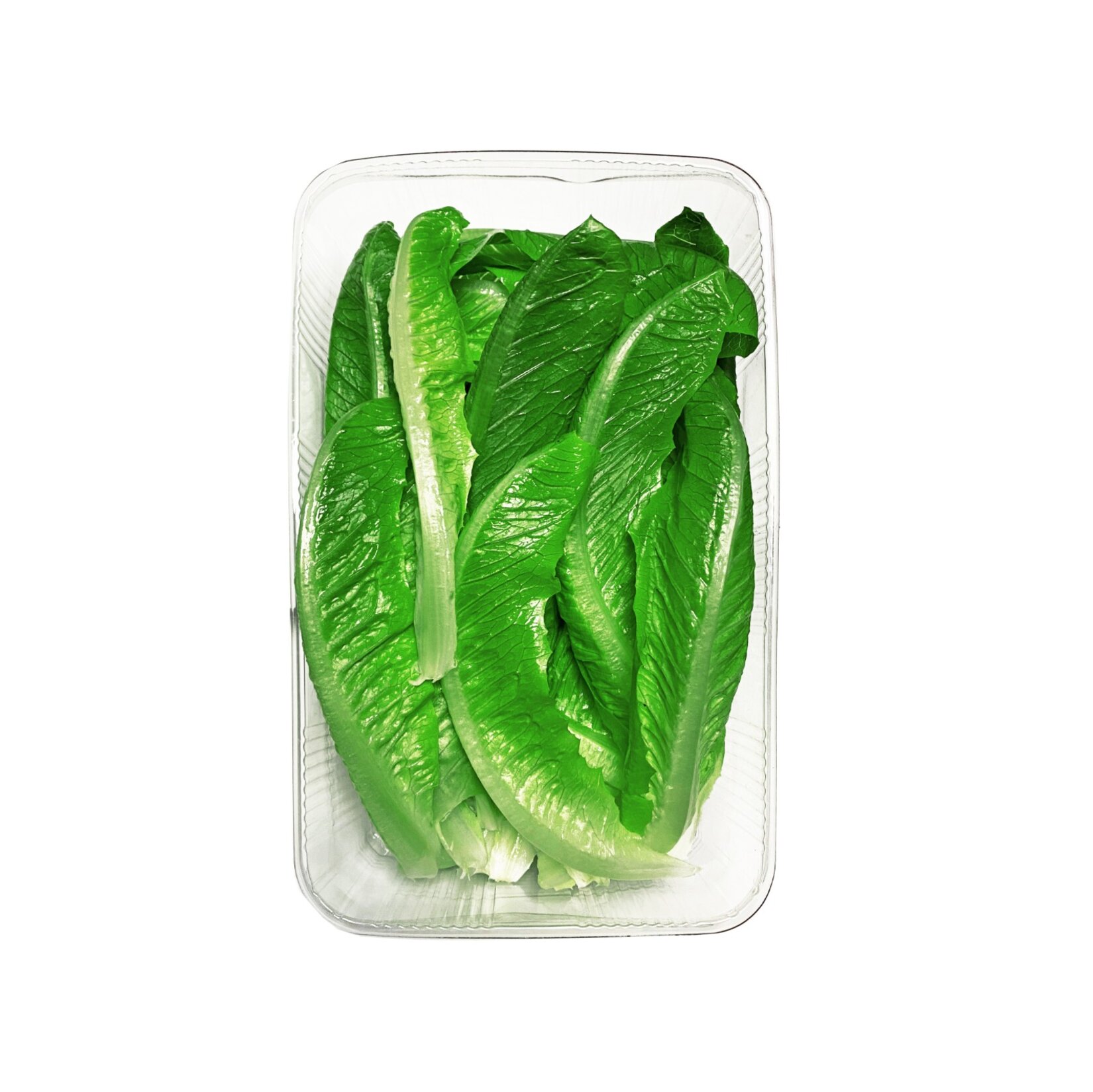 Erüst Ayıklanmış Yaprak Marul 125 G Paket