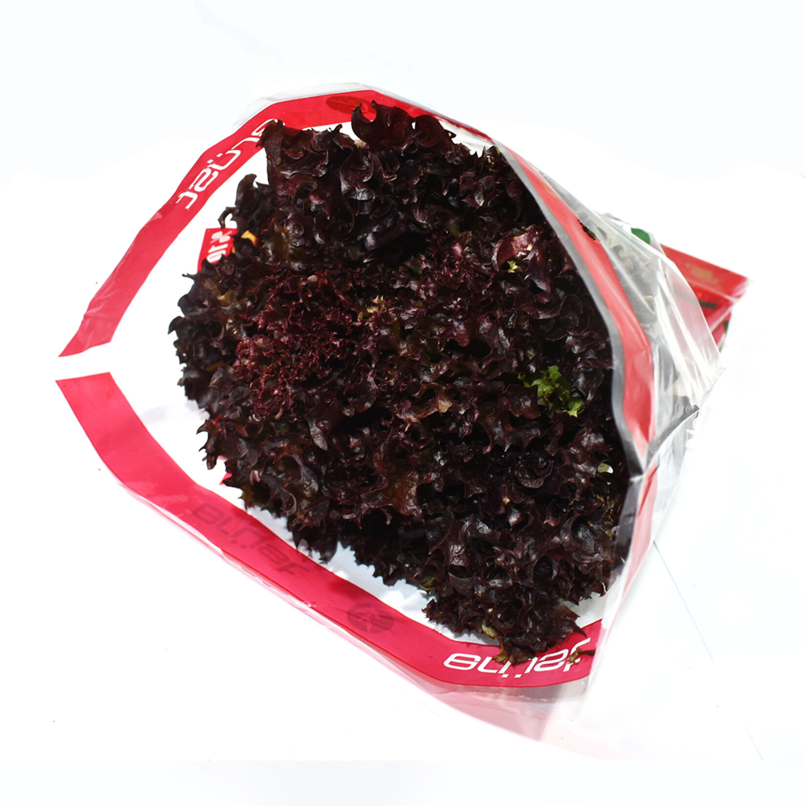 Erüst Salata Çeşitleri Marul 1 Adet