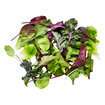 Local Greens Maskolin Salata 150G Paket - Görsel 2