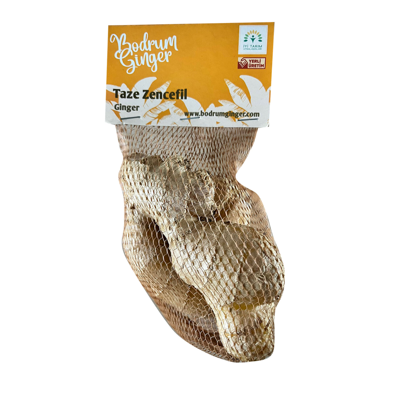 Bodrum Ginger Zencefil Kg
