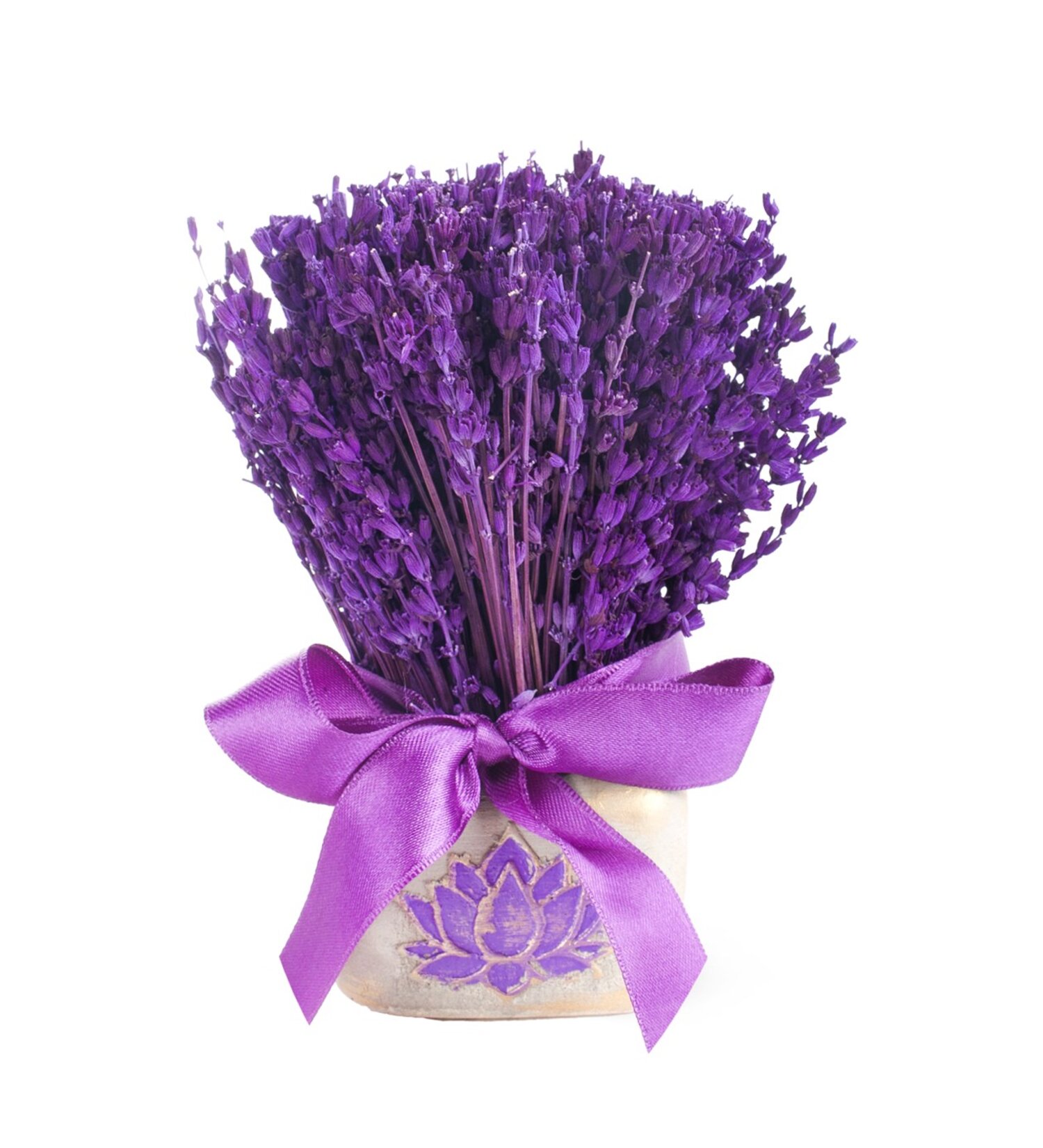 Gri Saksıda Lavanta