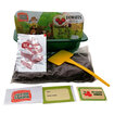 Junior Garden Domates Yetiştirme Seti - Görsel 2