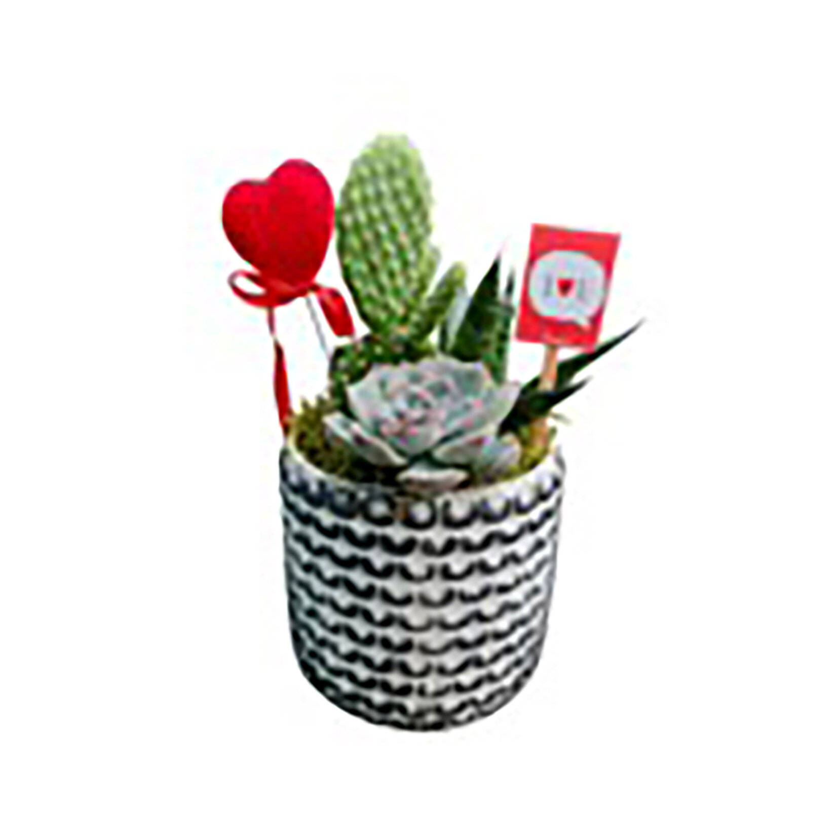 Özel Gün Aranjman No:1