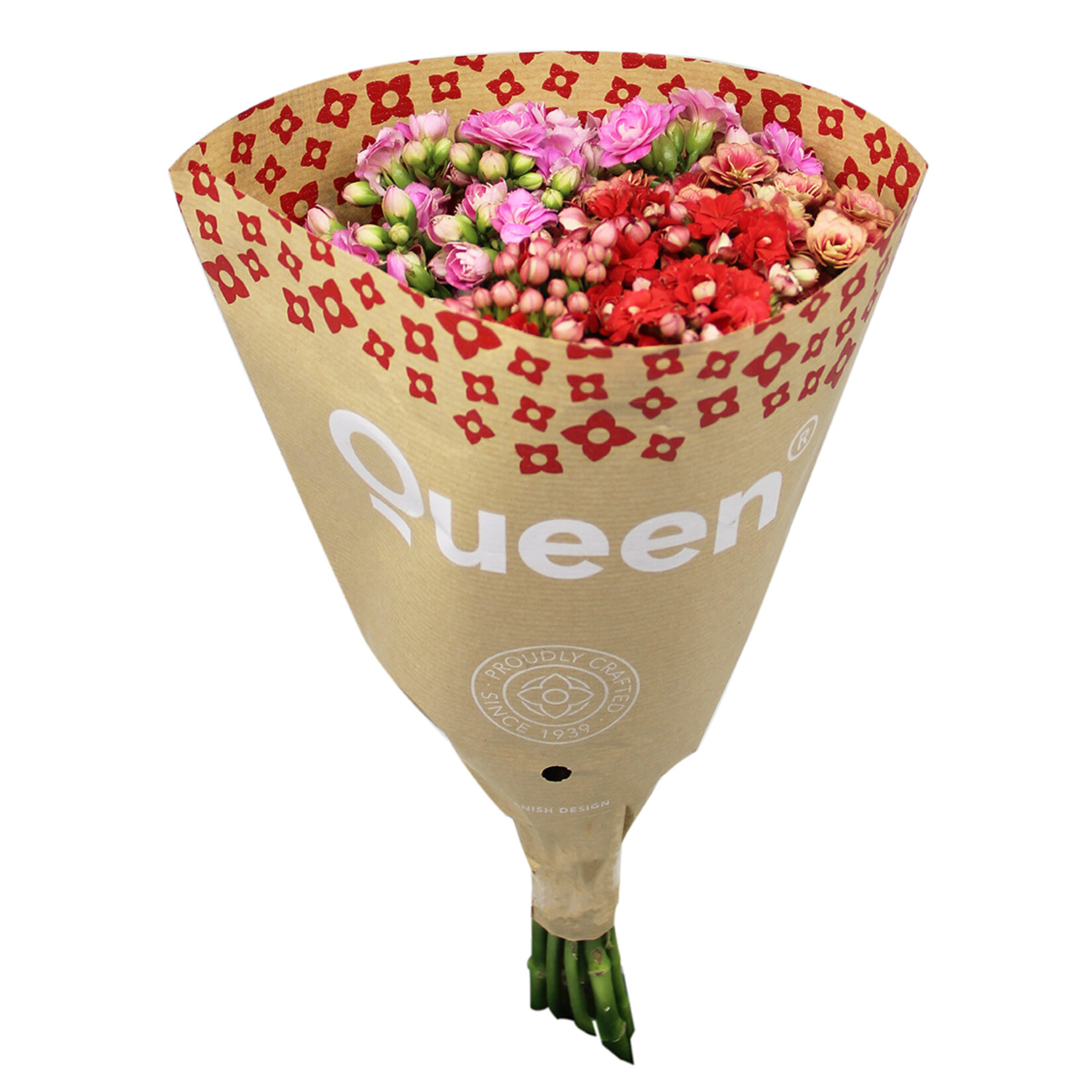 Kalanchoe Demeti 6'lı