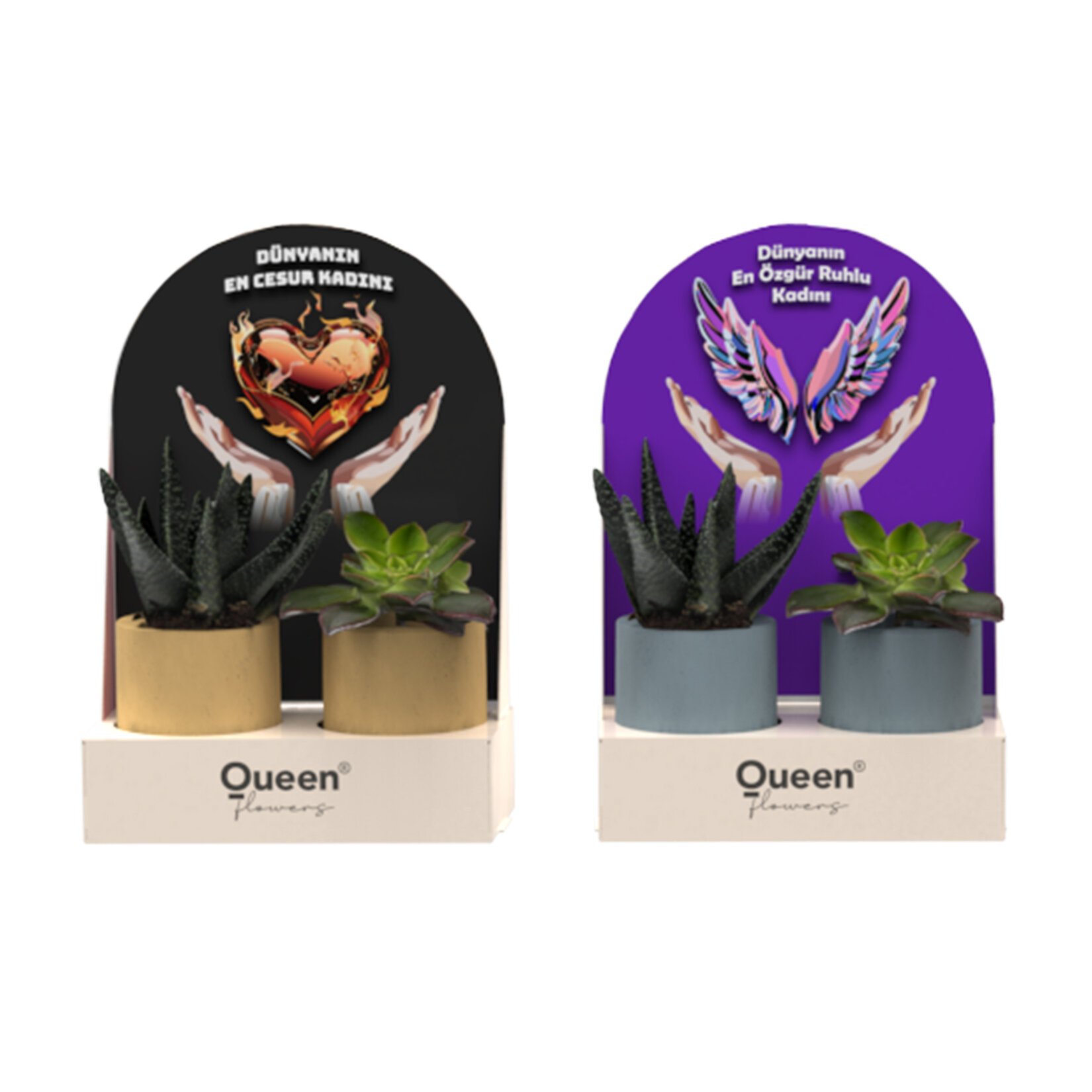 Creations - 2 Pack Beton Saksılı Succulent - Migros