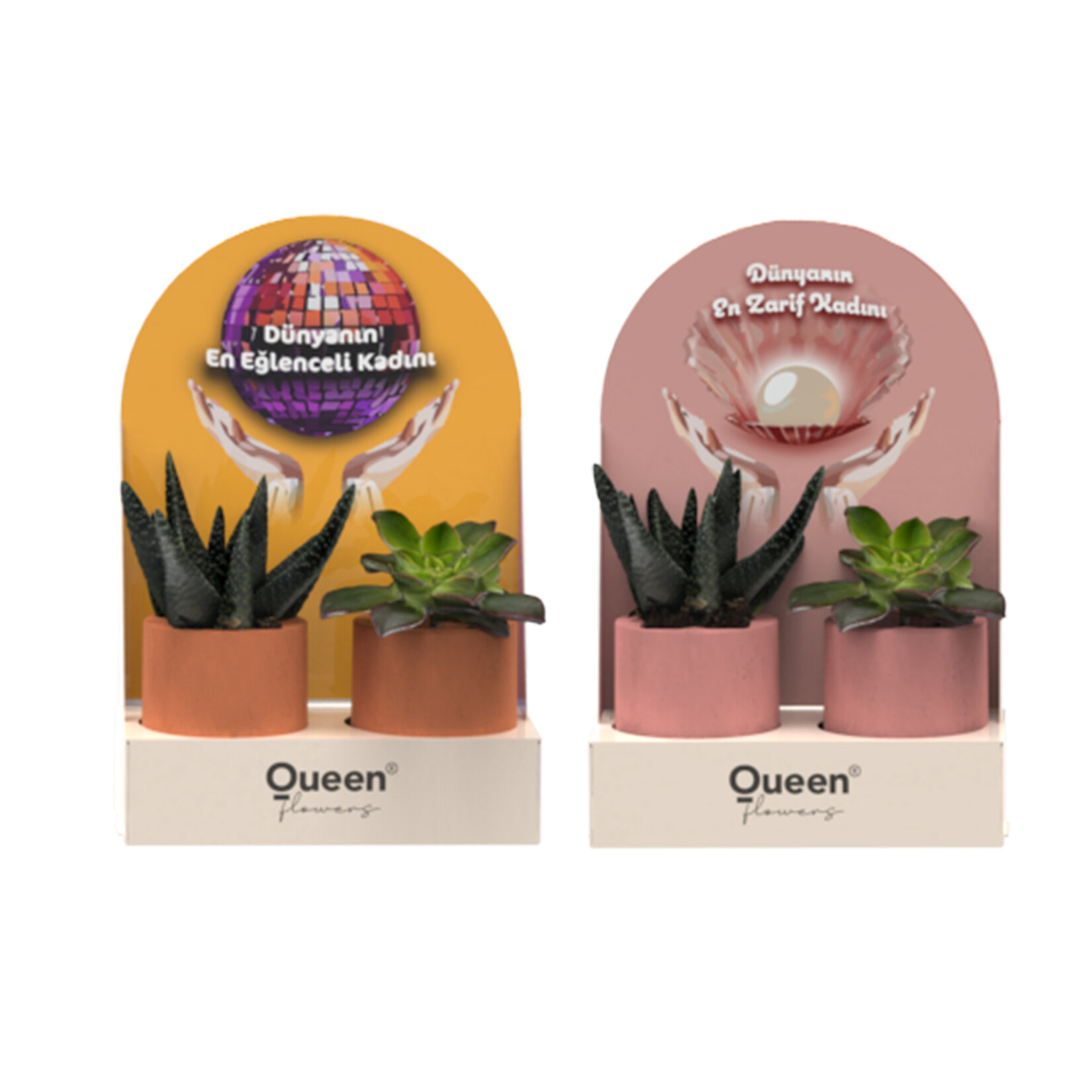 Creations - 2 Pack Beton Saksılı Succulent - Migros