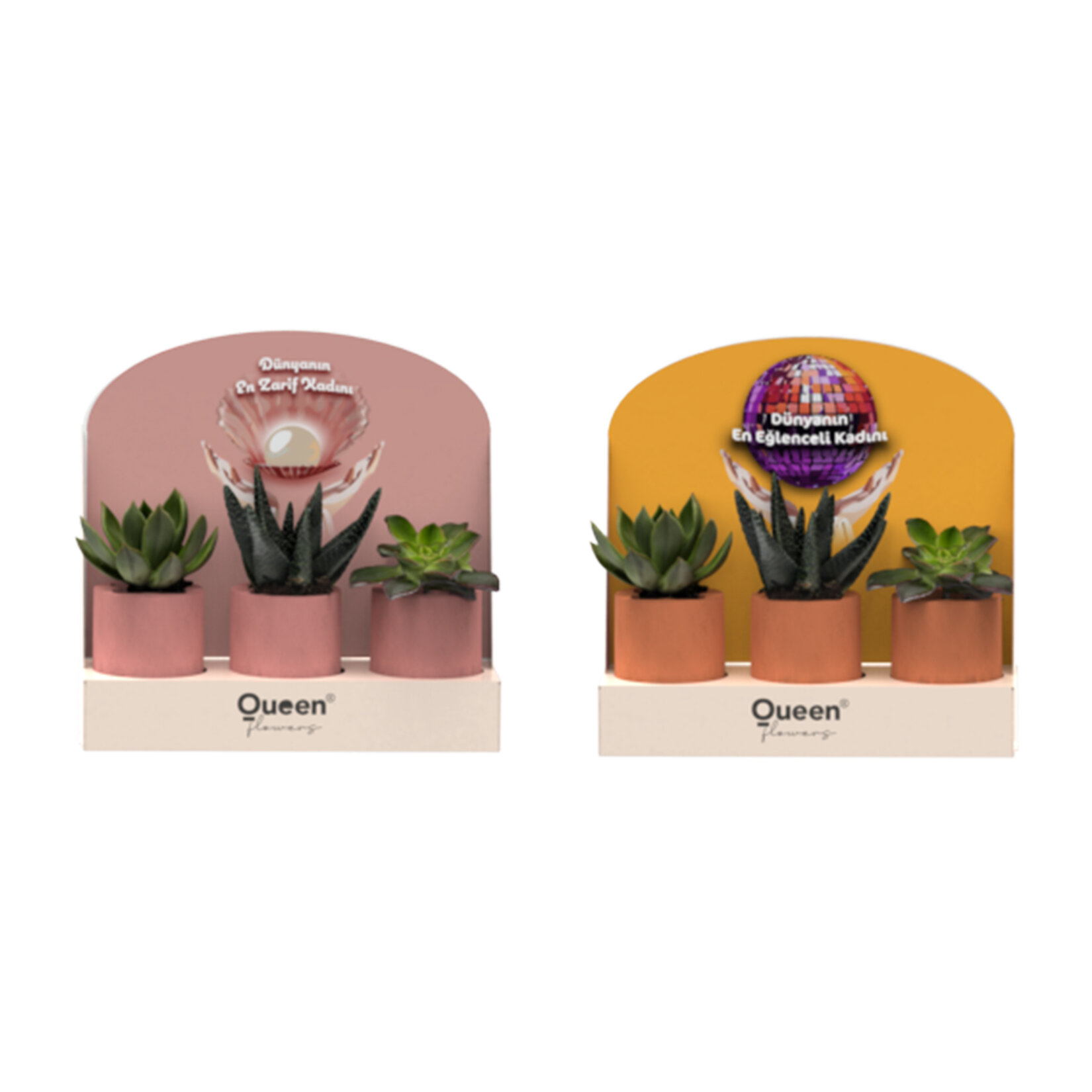 Creations - 3 Pack Beton Saksılı Succulent - Görsel 1
