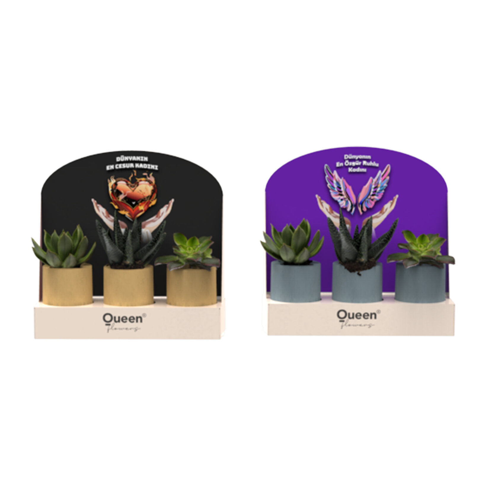  Creations - 3 Pack Beton Saksılı Succulent - Görsel 3