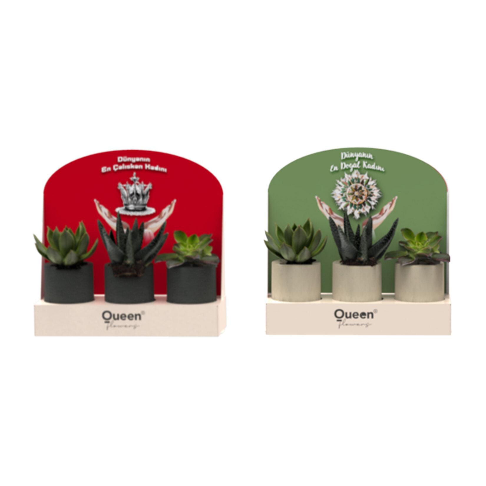  Creations - 3 Pack Beton Saksılı Succulent - Görsel 2