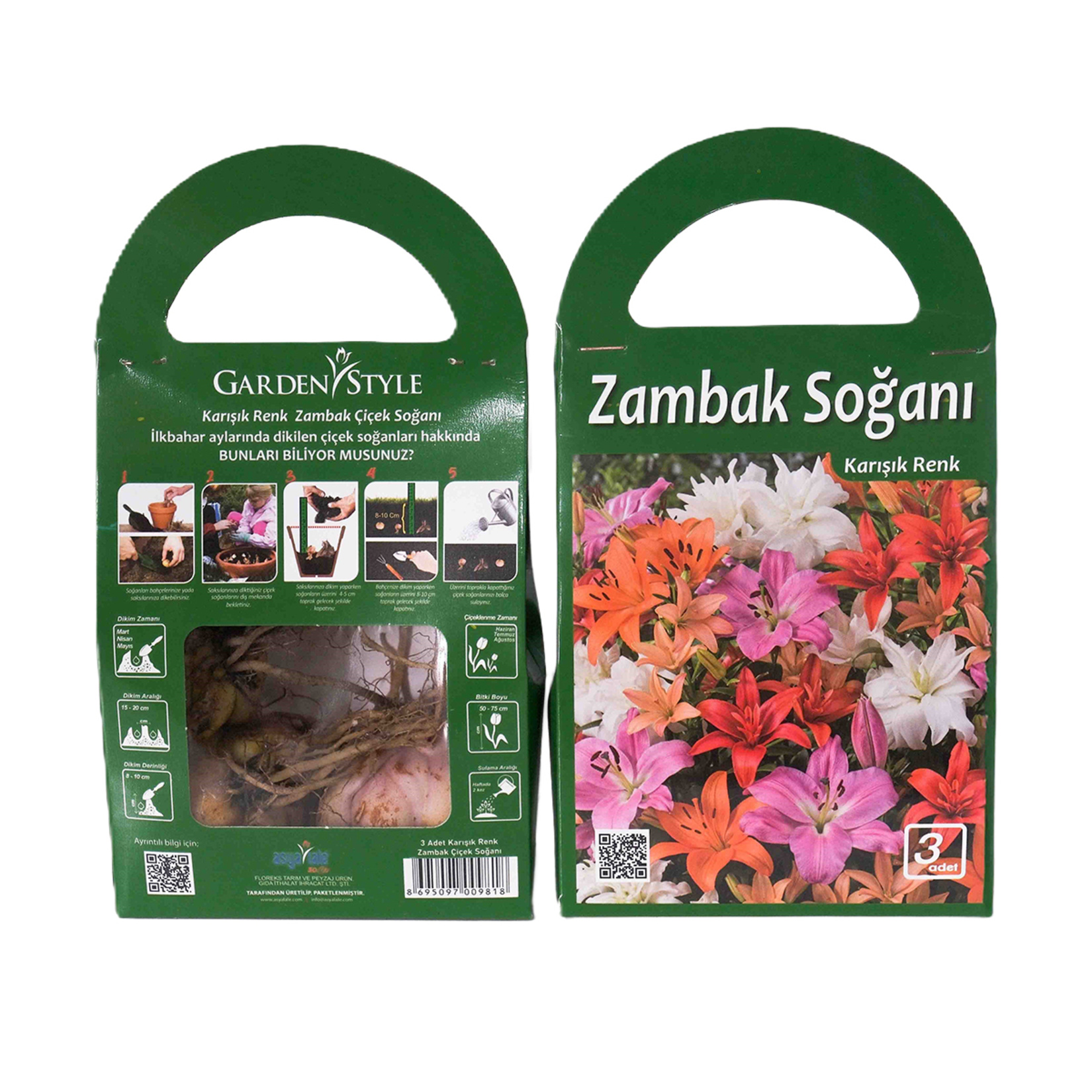 Asya Lale İlkbahar Çiçek Soğanı - Görsel 4