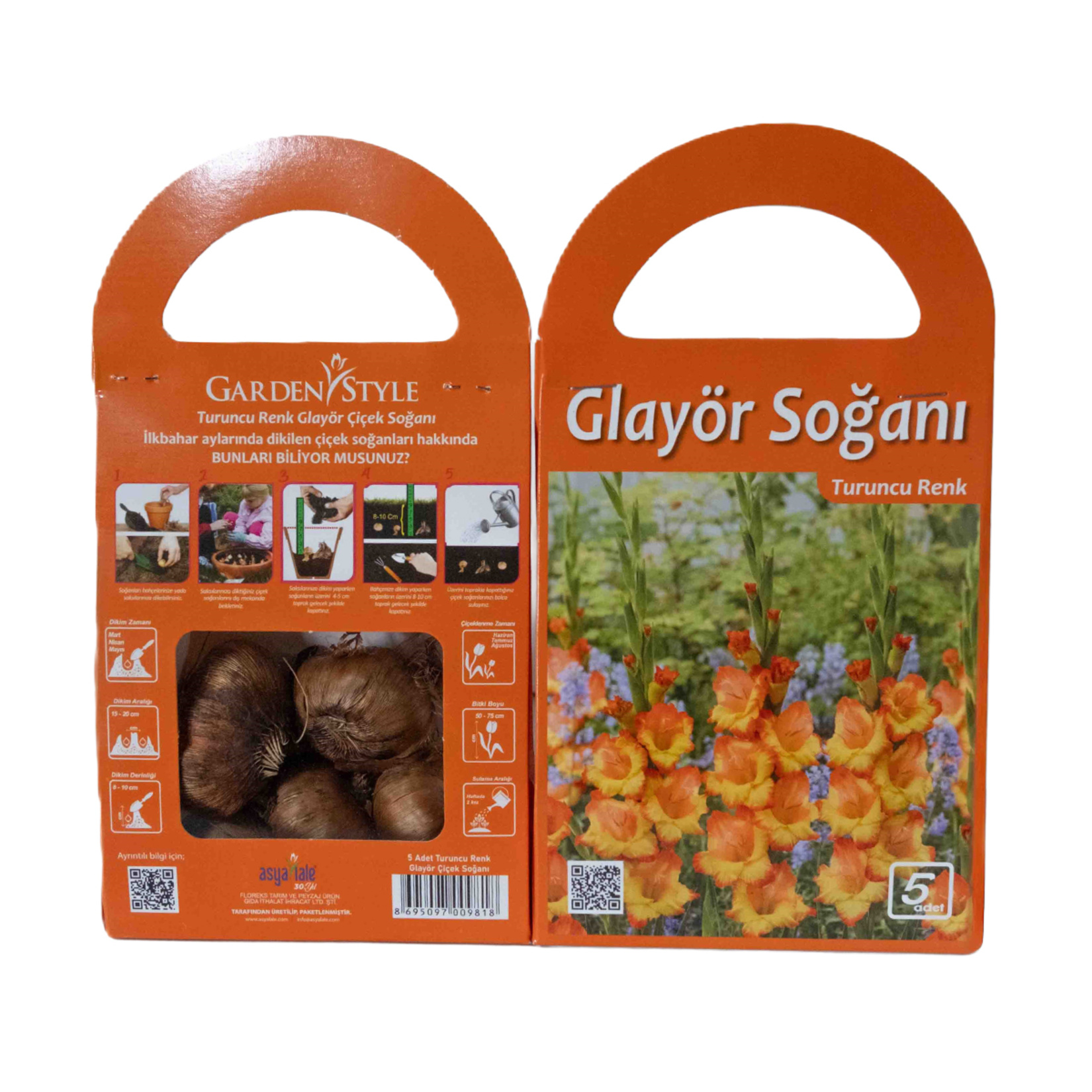 Asya Lale İlkbahar Çiçek Soğanı - Görsel 5