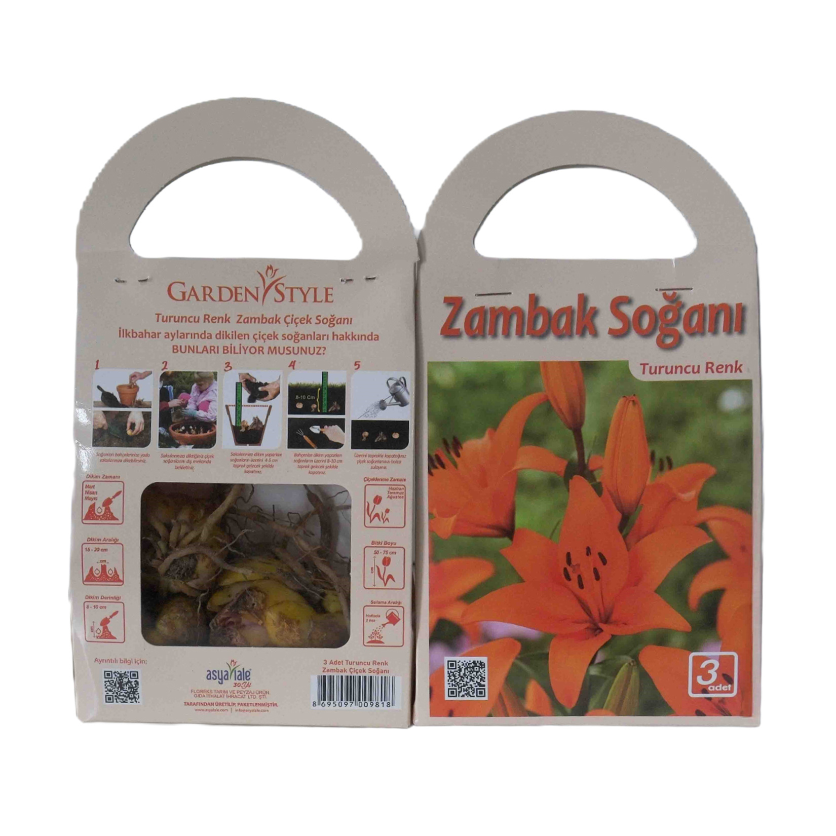 Asya Lale İlkbahar Çiçek Soğanı - Görsel 6