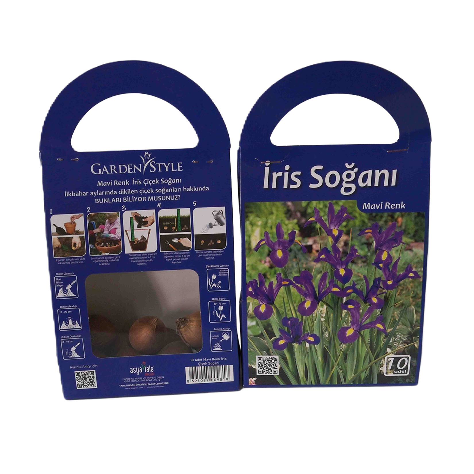 Asya Lale İlkbahar Çiçek Soğanı - Görsel 7