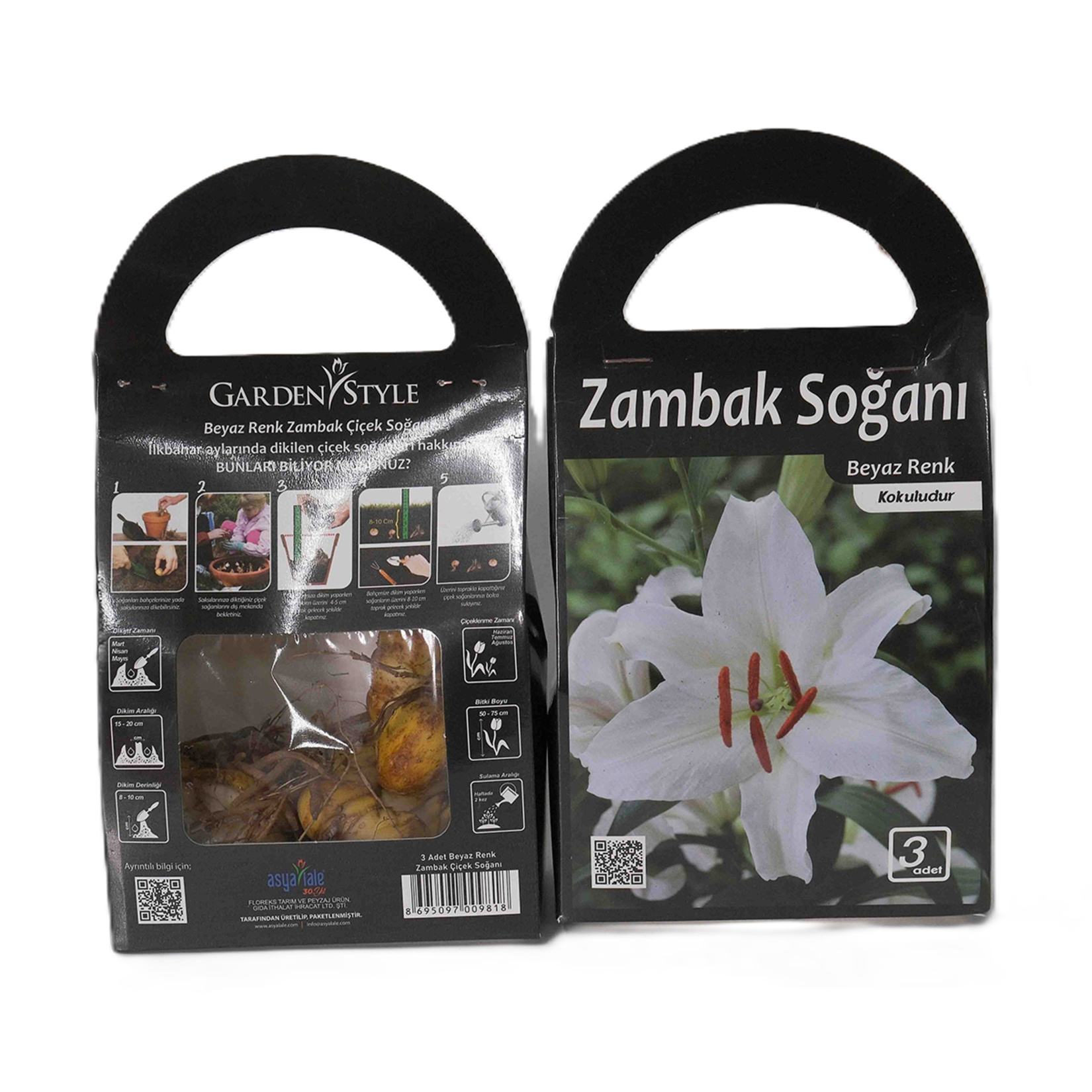 Asya Lale İlkbahar Çiçek Soğanı - Görsel 8