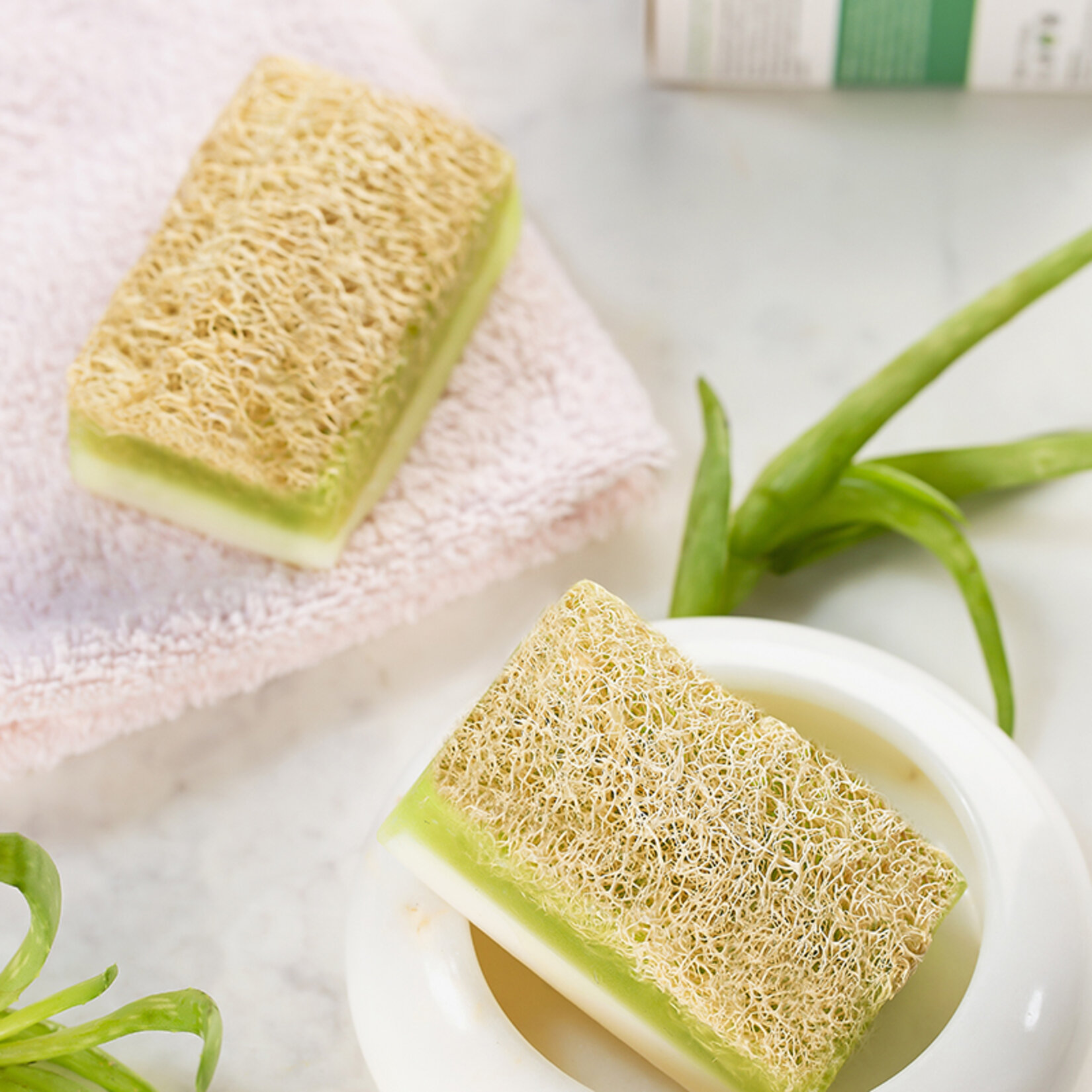 Botanica Comfort Kabak Lifli Aloe Vera Sabunu 100 G - Görsel 4