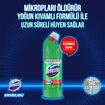 Domestos Dağ Esintisi 3x750 Ml - Görsel 3