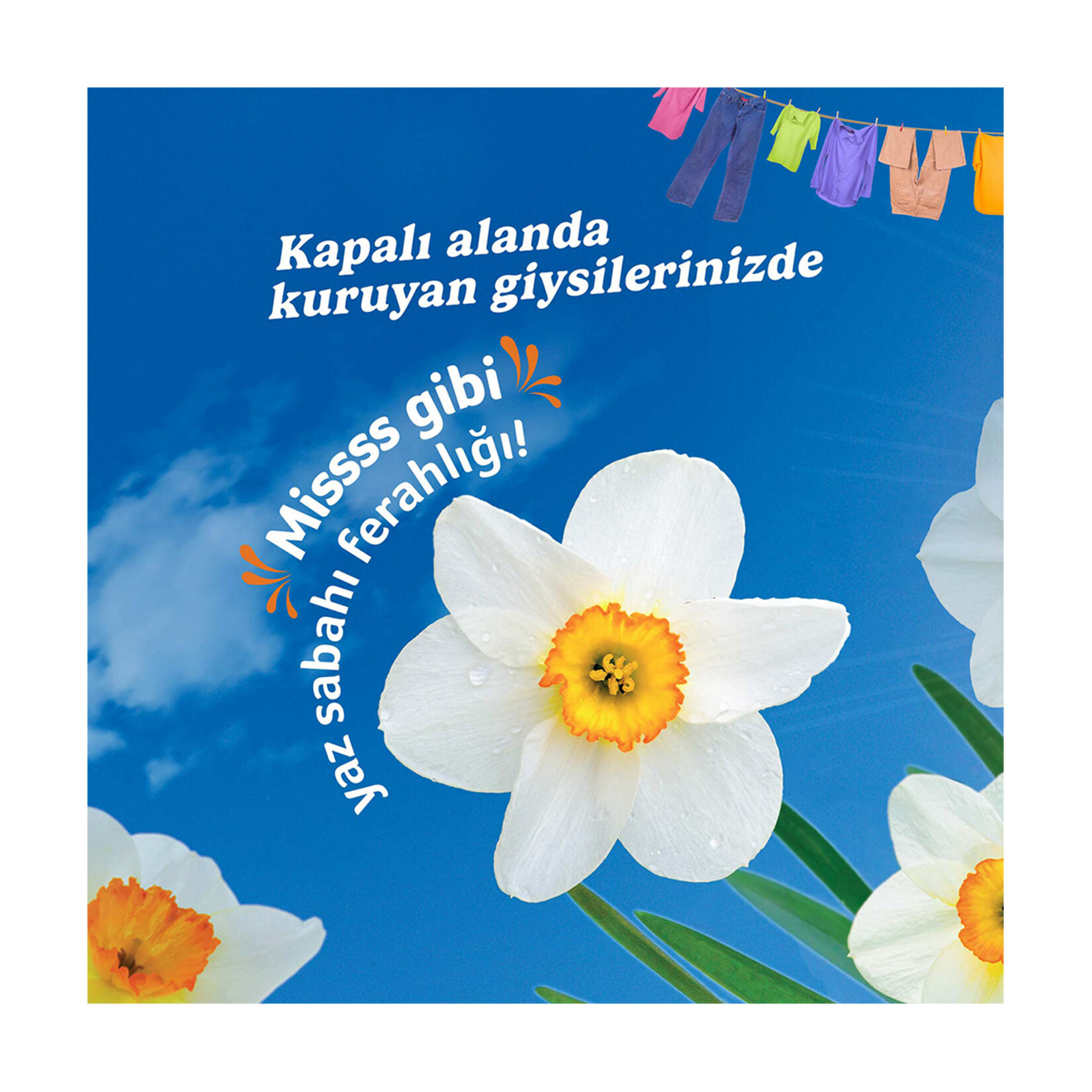 Yumoş Uzman Açık Hava Etkisi Konsantre Yumuşatıcı 1200 Ml - Görsel 5