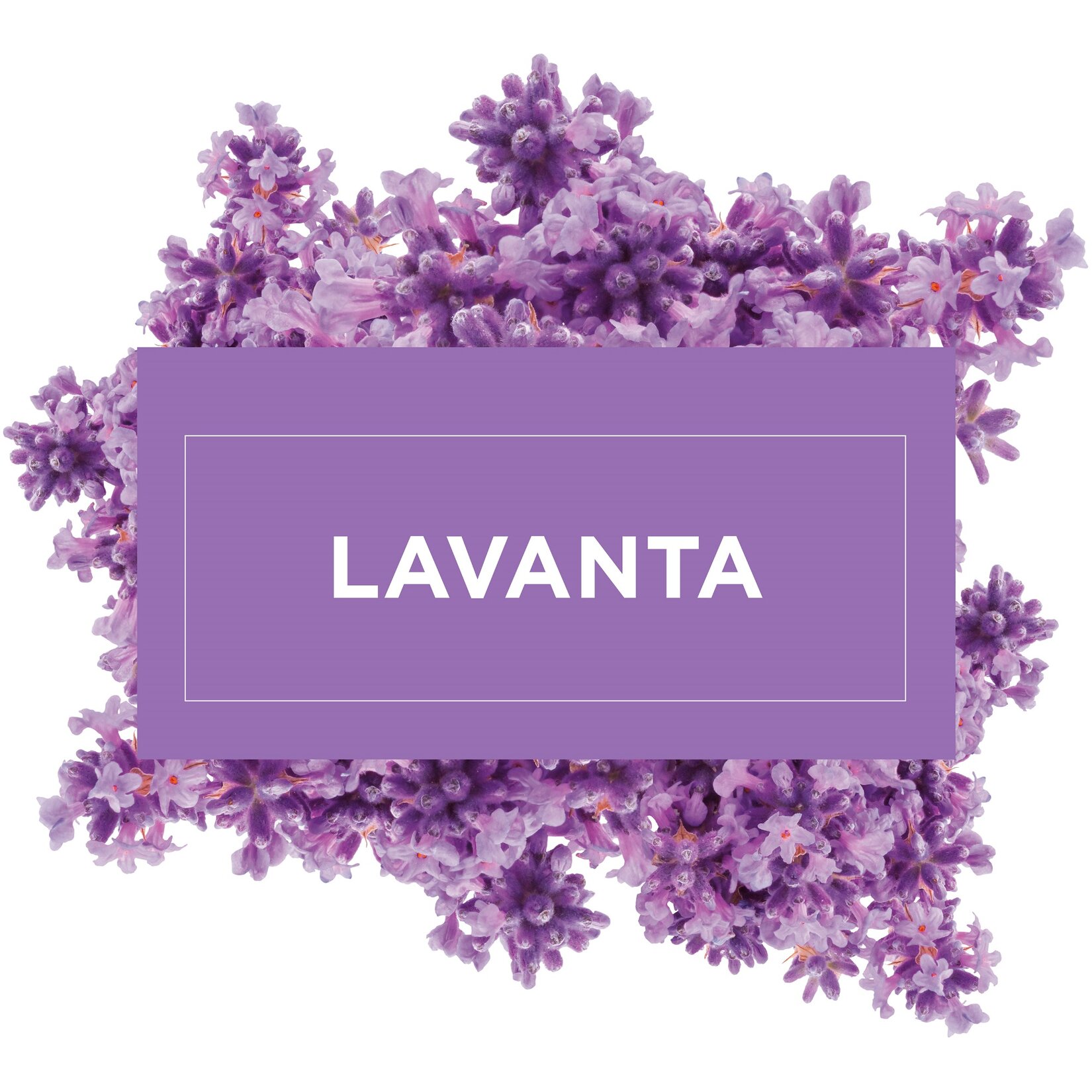 Mr. Muscle Konsantre Yüzey Temizleyici Lavanta 1 L - Görsel 3