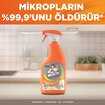 Mr. Muscle Advanced Power Mutfak Temizleyici Limon 750ml - Görsel 3