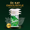Sofia Kağıt Havlu 12'li - Görsel 2
