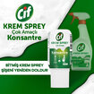 Cif Konsantre Çok Amaçlı Amonyak  70 Ml - Görsel 3