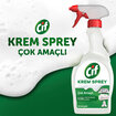 Cif Amonyak Çok Amaçlı Krem Sprey 2 x 750 Ml - Görsel 3
