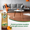 Cif Jel Ahşap Yüzey Temizleyici Portakal Çiçeği 750 Ml - Görsel 4
