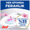 Bref Brilliant Gel Spring Rain Klozet Bloğu 2 x 42 G - Görsel 3