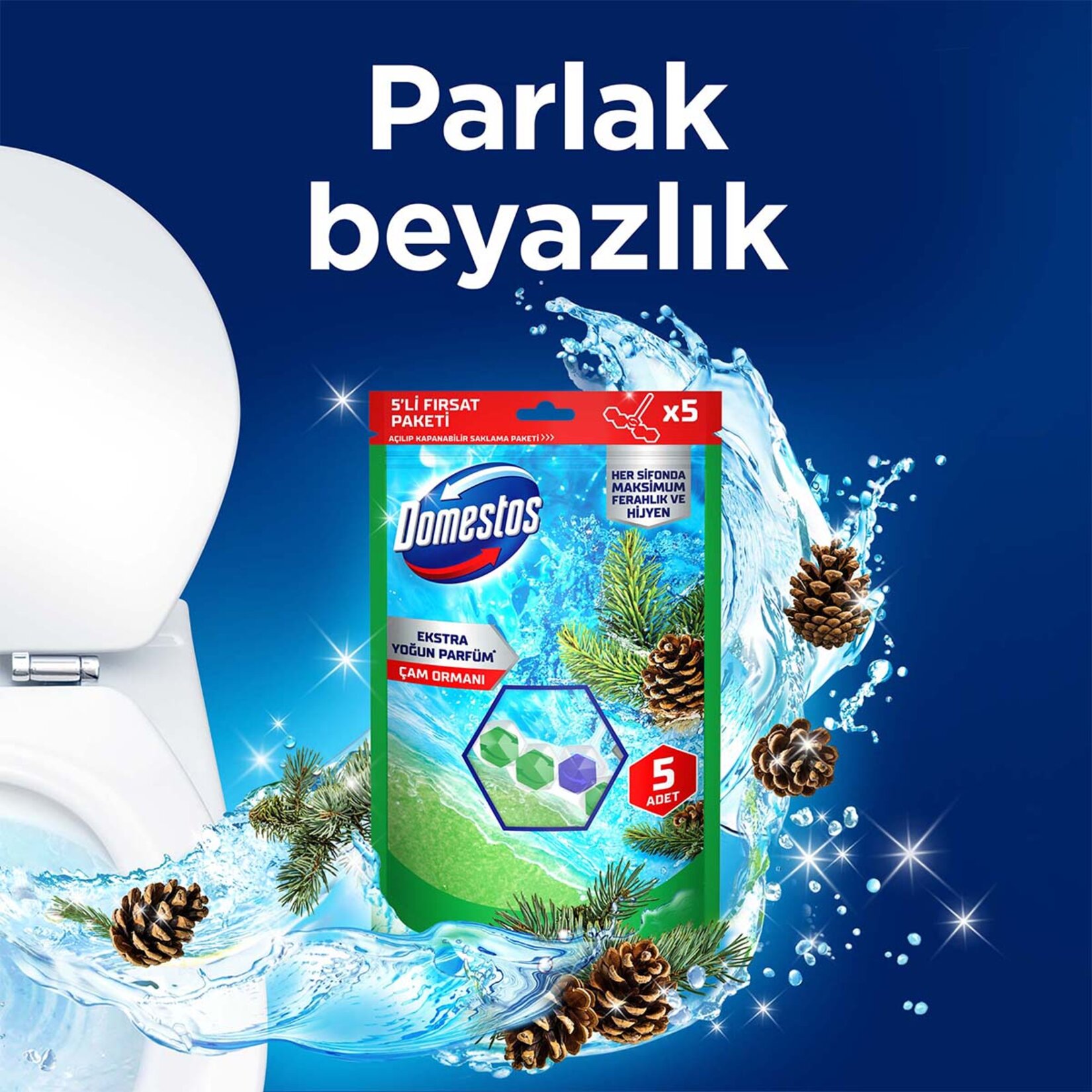 Domestos Wc Blok Çam Ferahlığı 5 x 50 G - Görsel 3