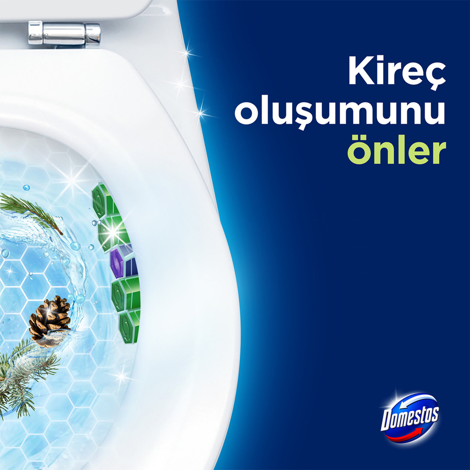 Domestos Wc Blok Çam Ferahlığı 5 x 50 G - Görsel 5
